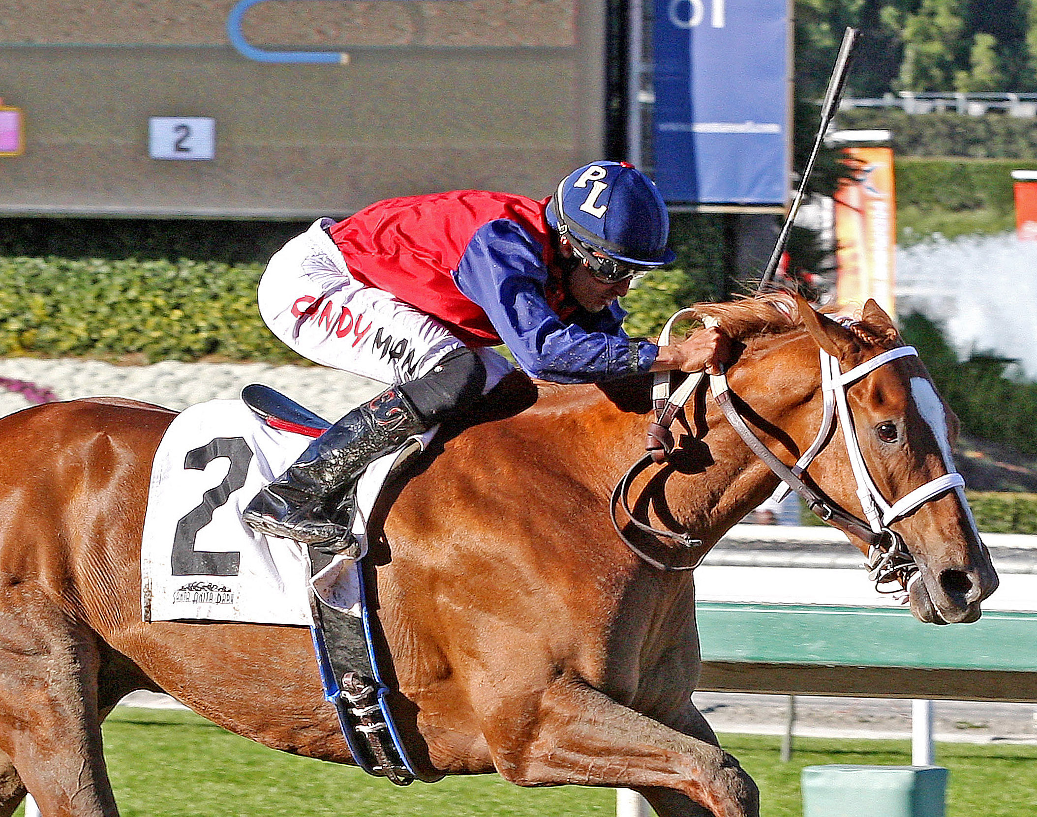 Saint Prado wins a maiden
