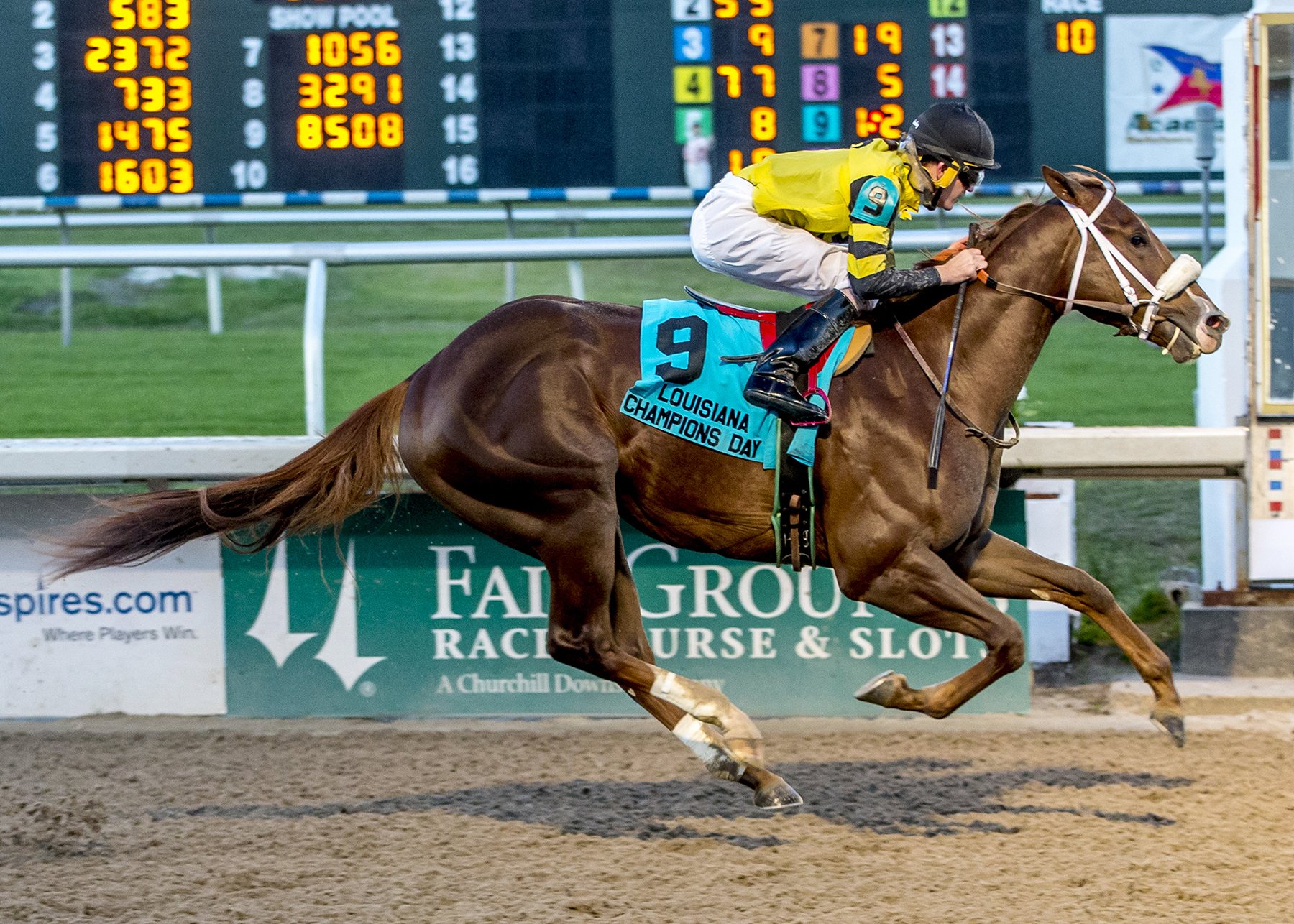 Saint's Fan wins the Louisiana Champions Day Juvenile