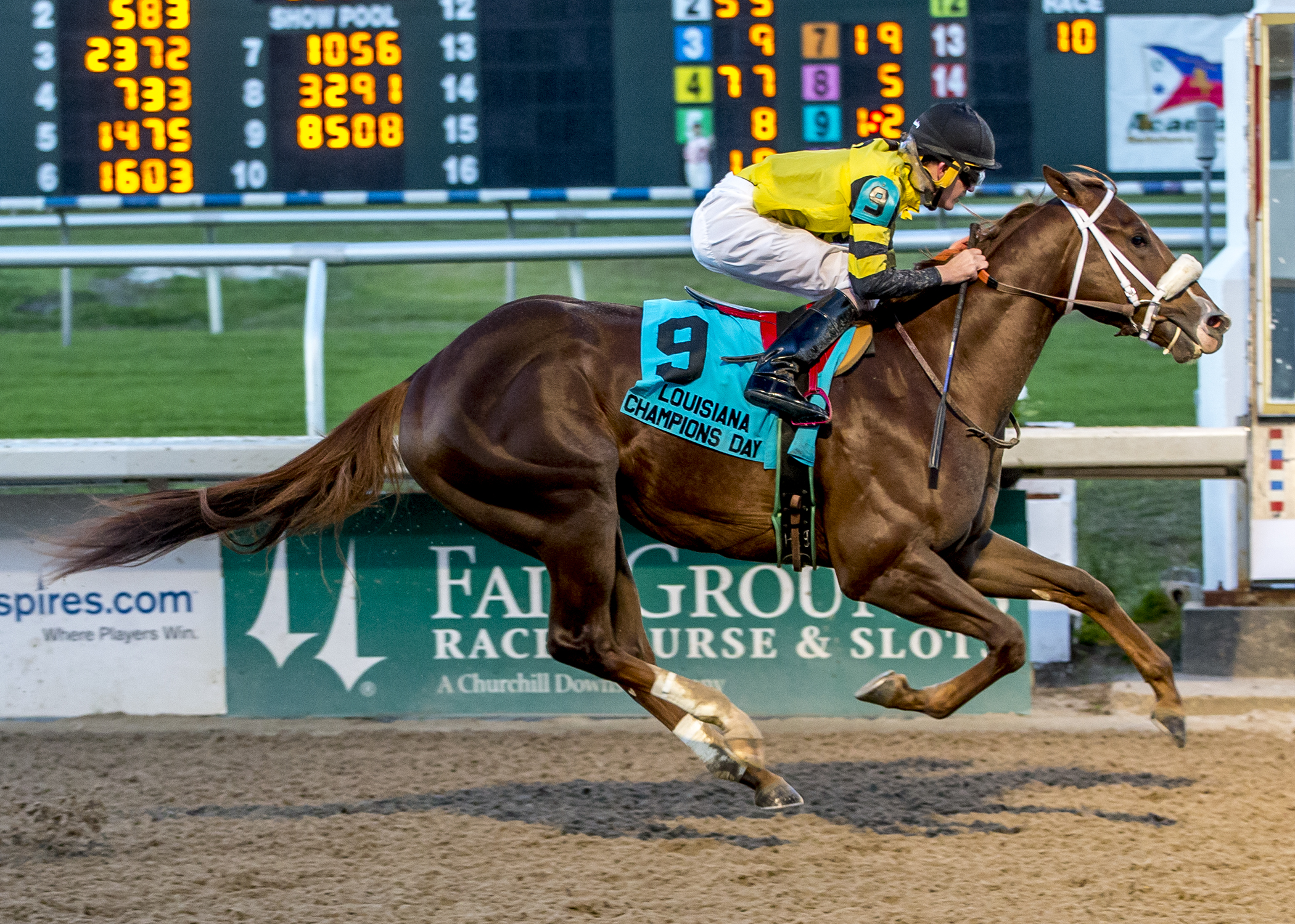 Saint's Fan wins the Louisiana Champions Day Juvenile