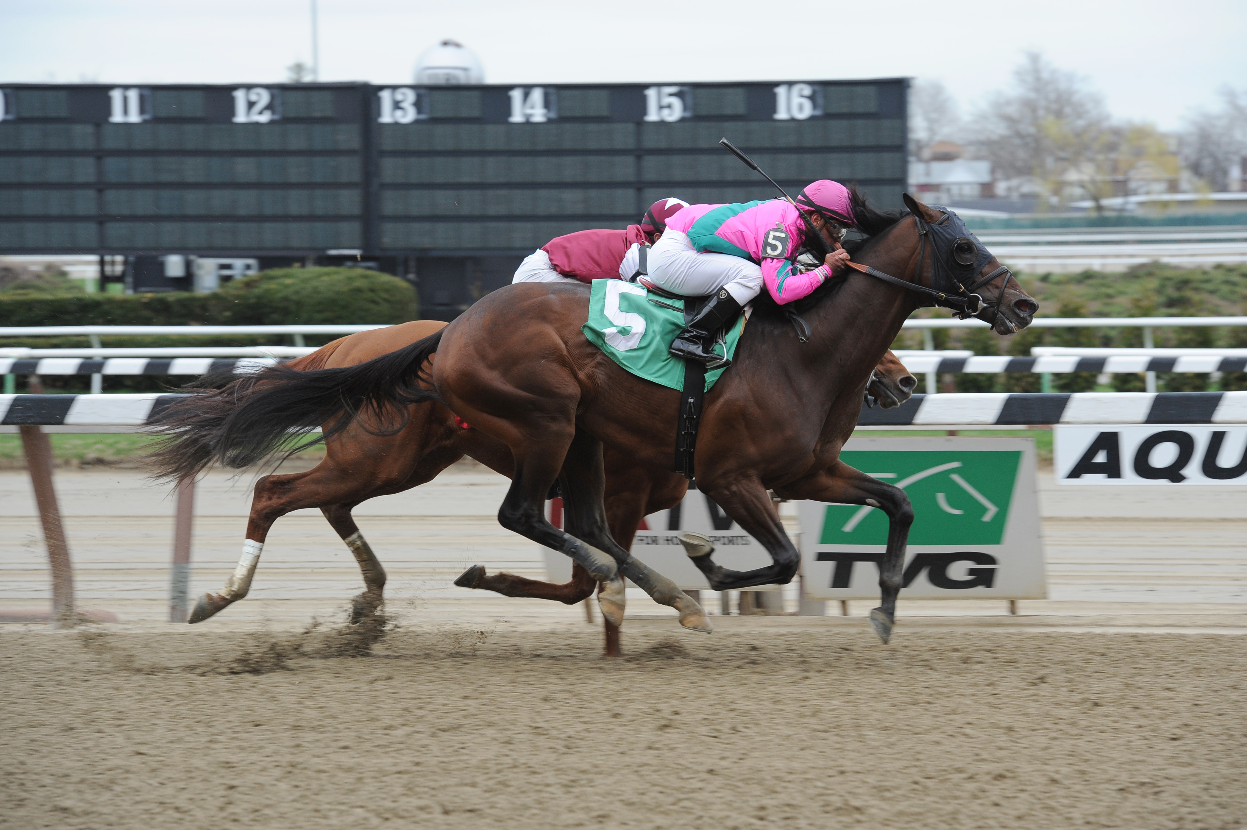 Belmont Park: Peter Pan may reveal whether Saint Vigeur gets shot at Belmont Stakes