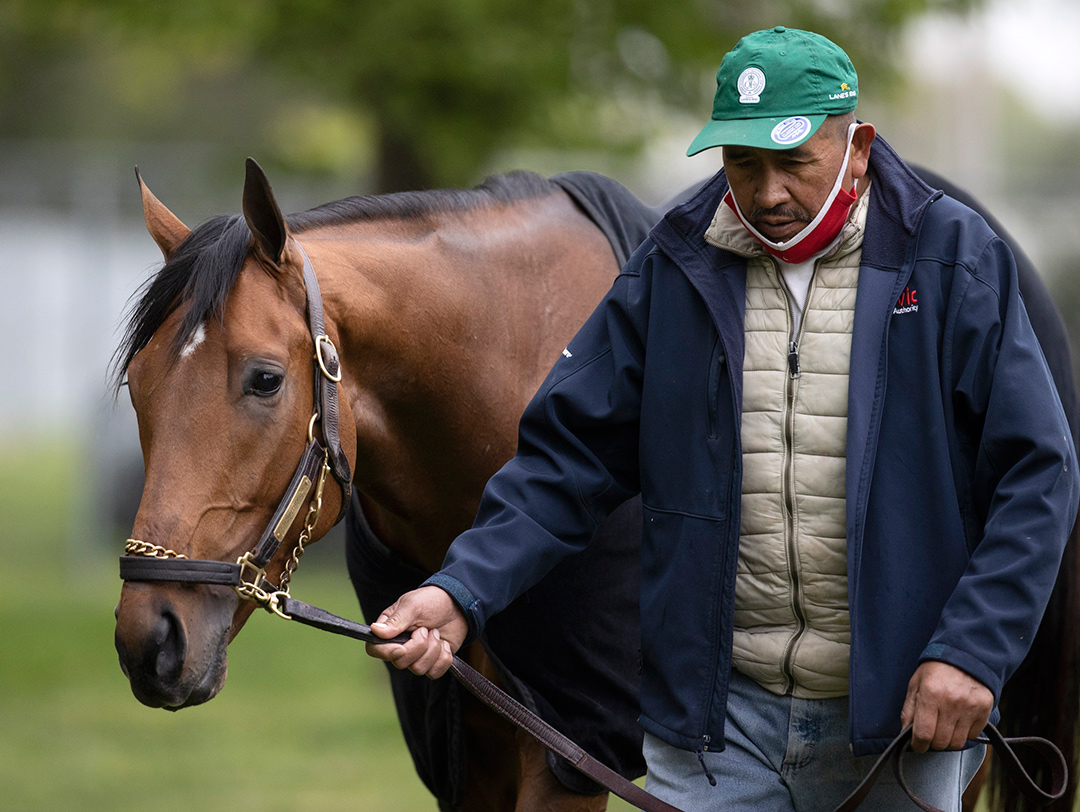 Sainthood at Churchill Downs on April 23