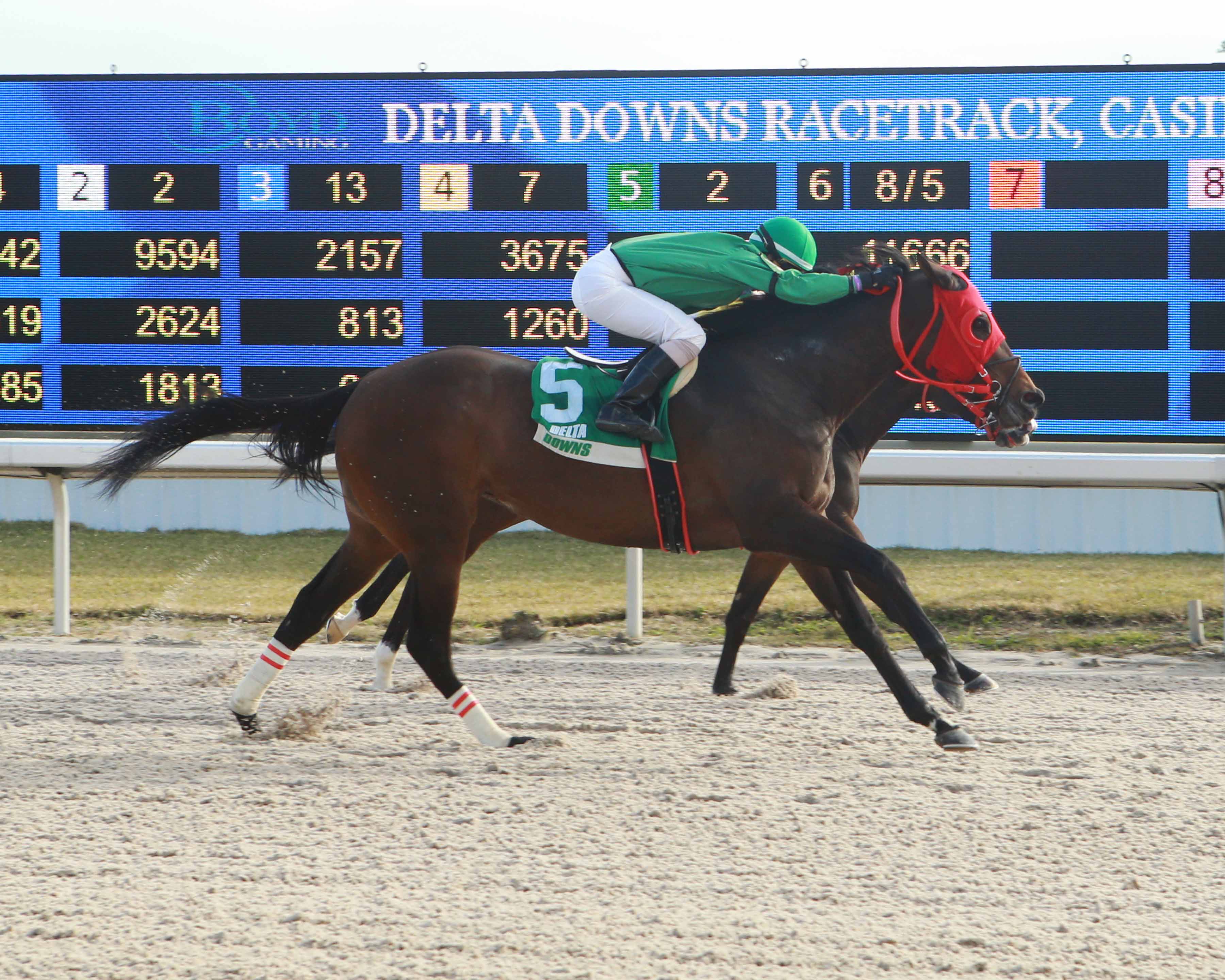 Saints N Muskets.Magnolia Stakes at Delta Downs.1-12-2021