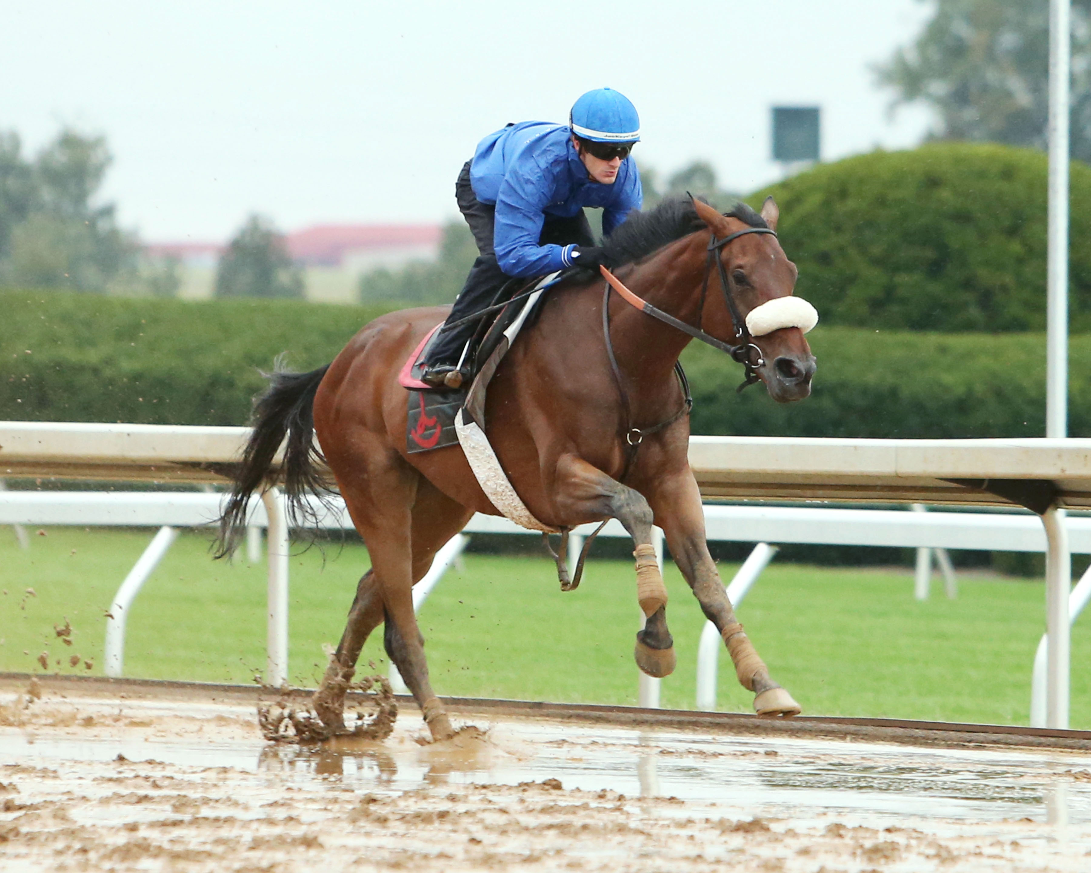 Salama trains at Keeneland on Oct. 1