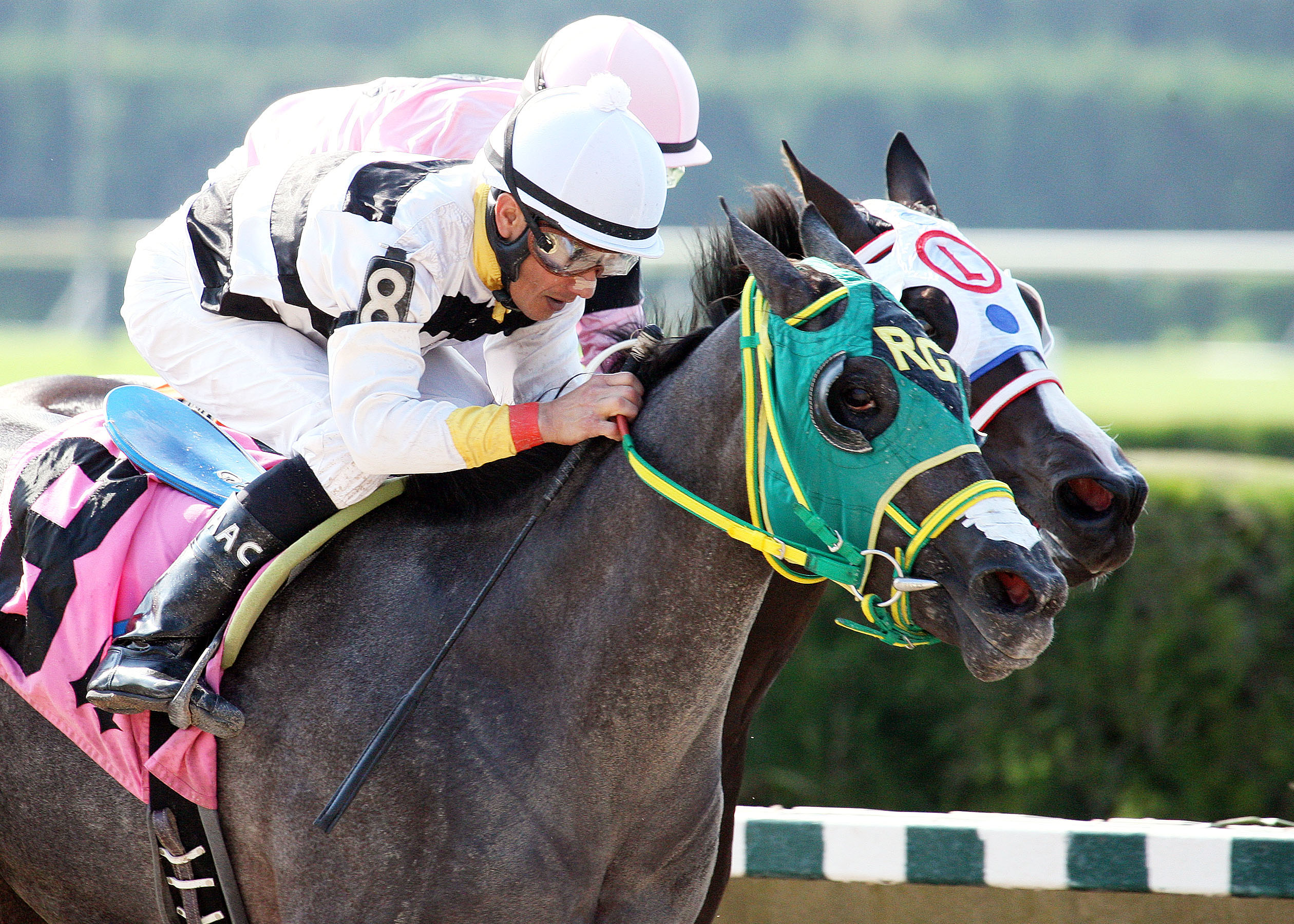 Salamera/J J's Dream Stakes