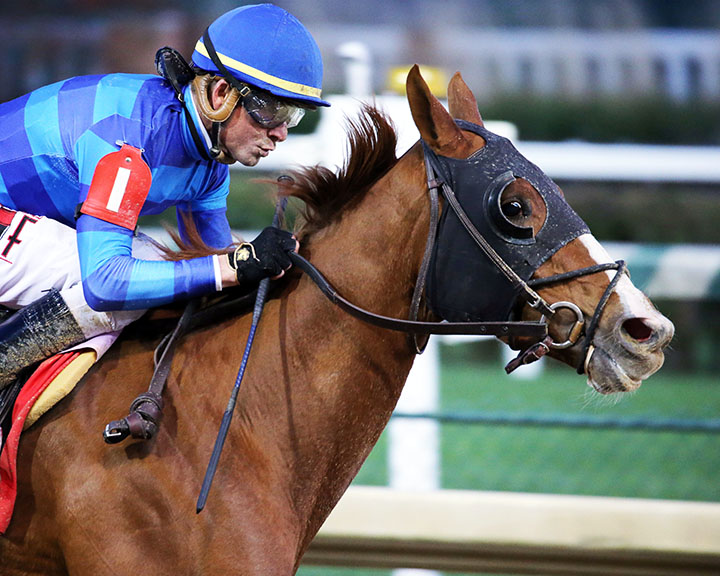 Sally's Curlin wins the 2019 Chilukki Stakes at Churchill Downs