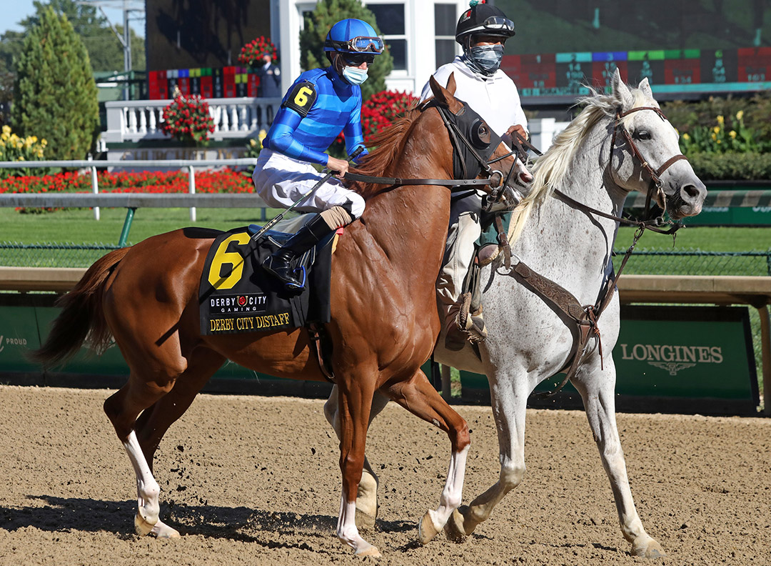 Sally's Curlin at the 2020 Derby City Distaff at Churchill Downs