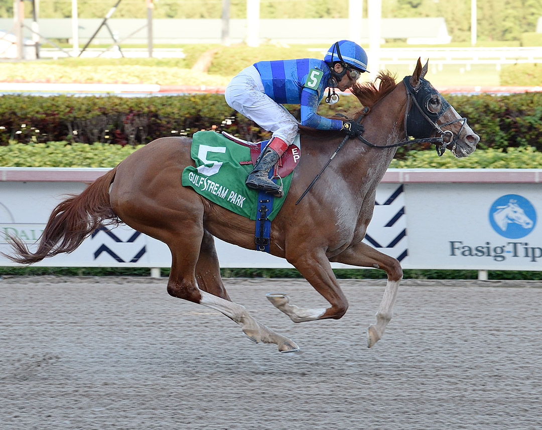 Sally's Curlin wins the 2020 Hurricane Bertie Stakes at Gulfstream Park