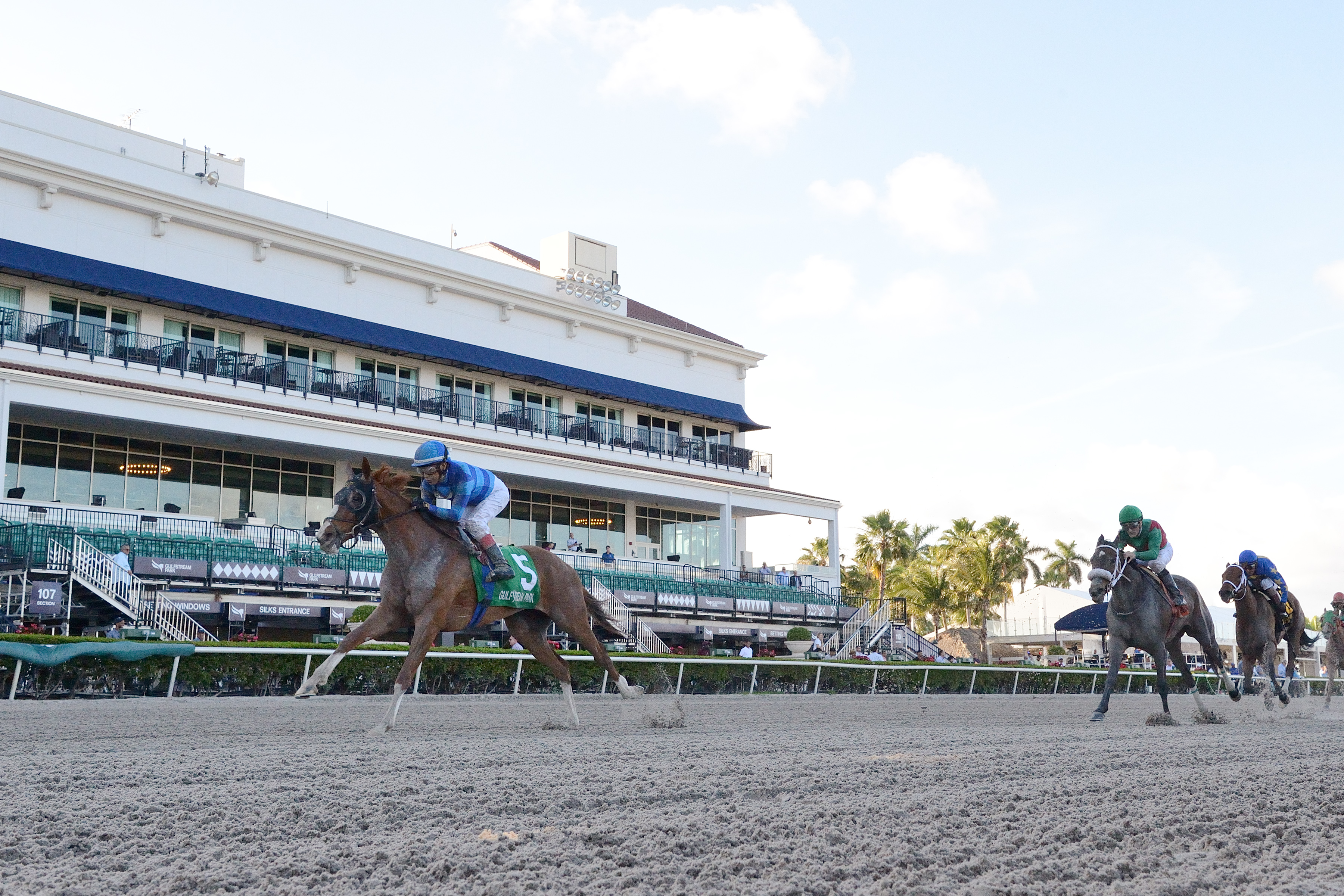 Sally's Curlin wins the 2020 Hurricane Bertie Stakes