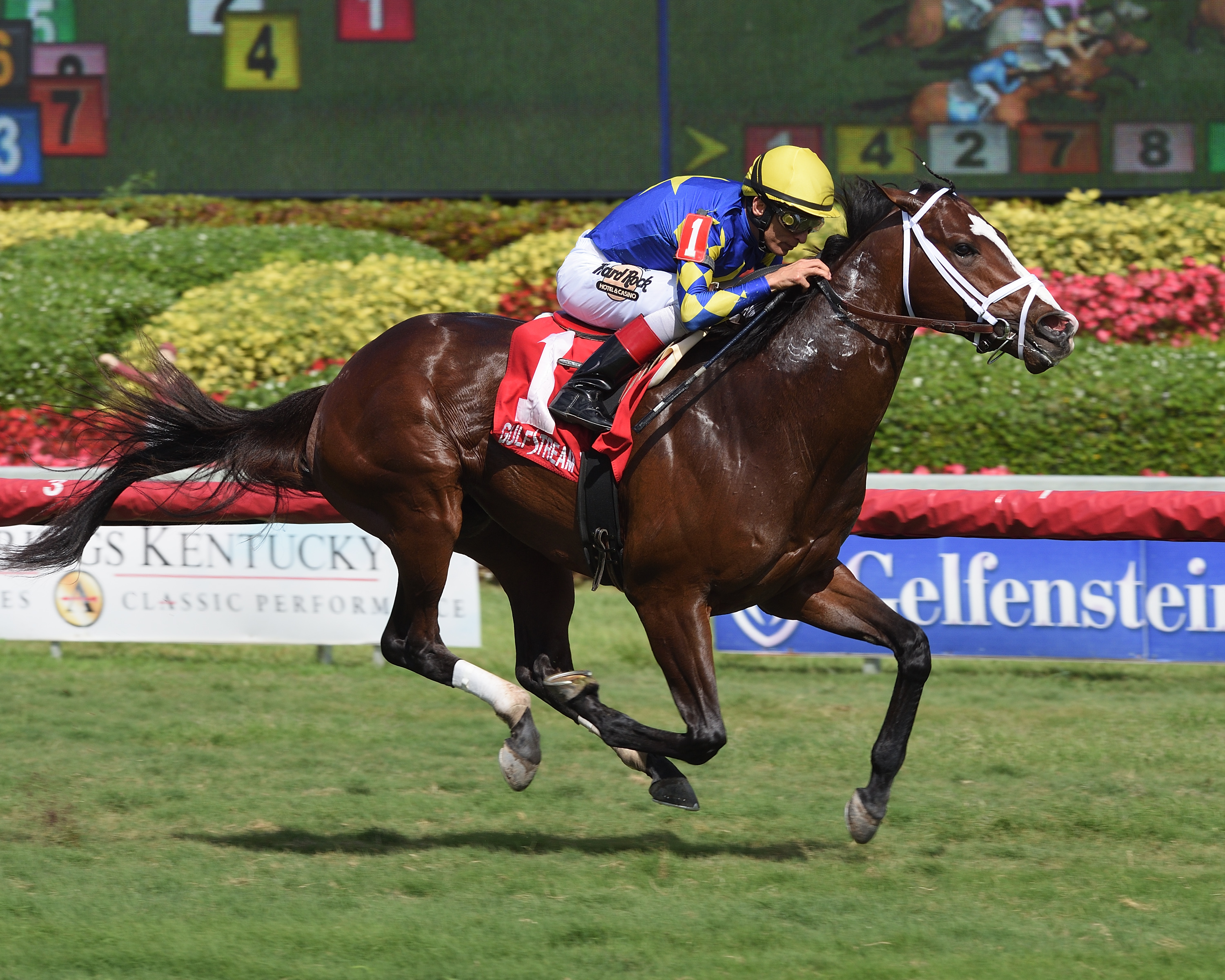 Salmanazar aces turf test in Texas Glitter Stakes