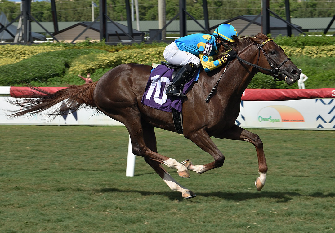 Salow wins a July 3 maiden race at Gulfstream Park