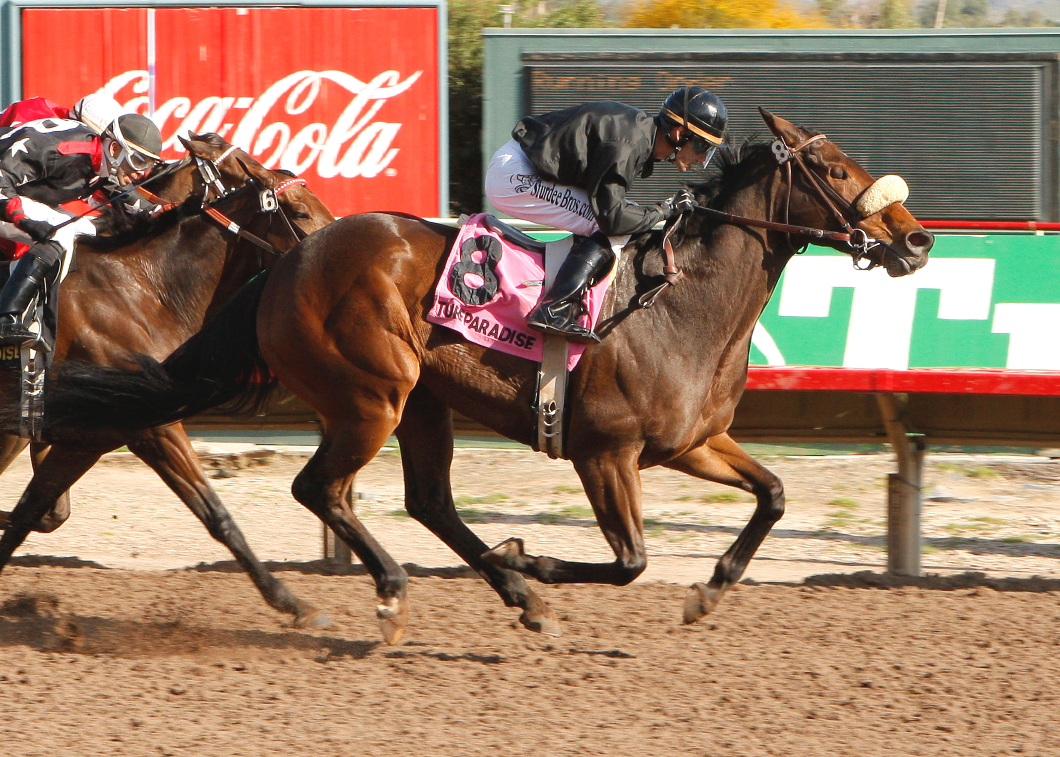 Salsa Express, 2010 Princess of Palms Handicap