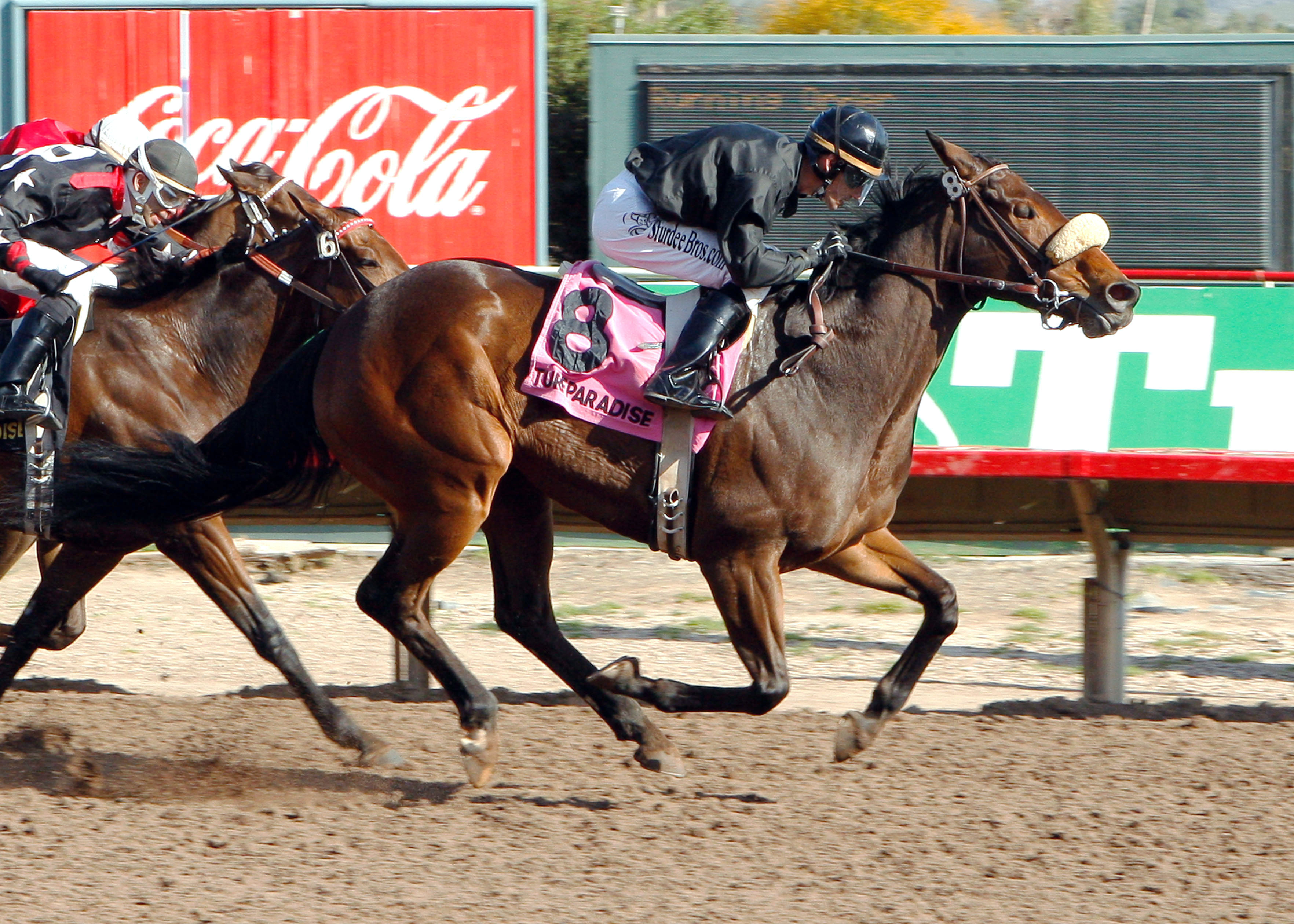 Salsa Express wins the 2010 Princess of Palms Handicap