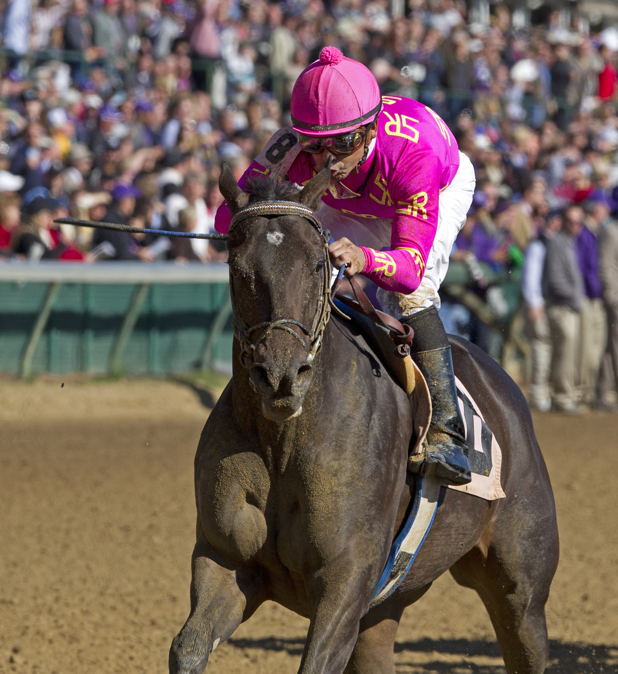 Salty Strike 11-5-2011