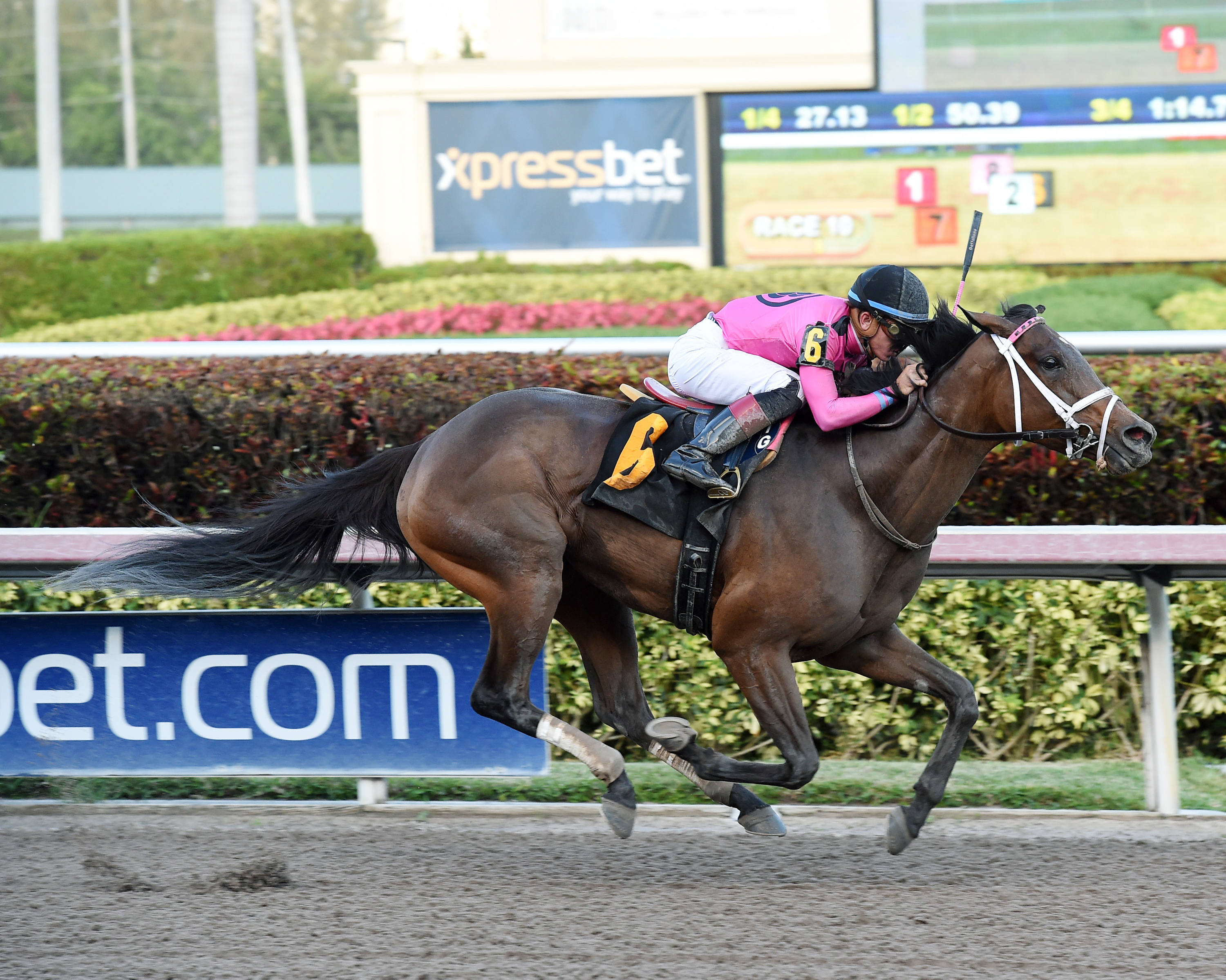 Salty wins a second-level allowance on March 1