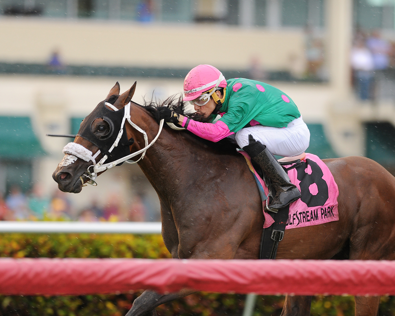 Salute the Colonel wins the Soldier-s Dancer