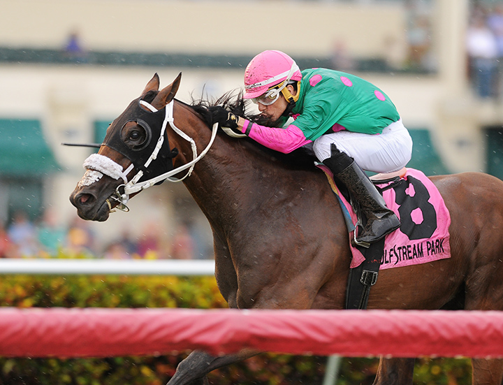 Salute the Colonel wins the Soldier's Dancer Stakes