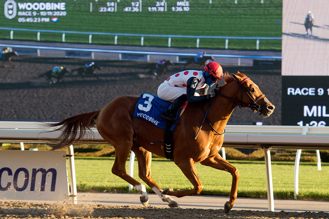 Salute With Honor wins the Durham Cup Stakes at Woodbine