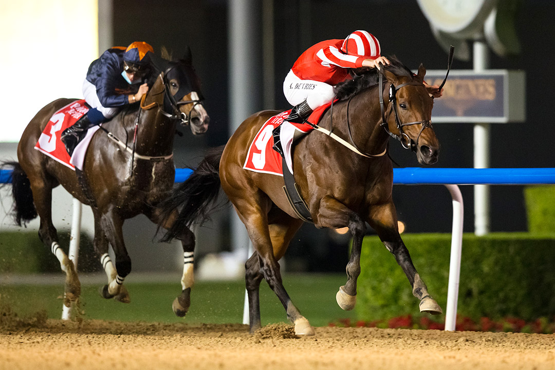 Salute the Solider wins round 2 of the Al Maktoum Challenge at Meydan Racecourse
