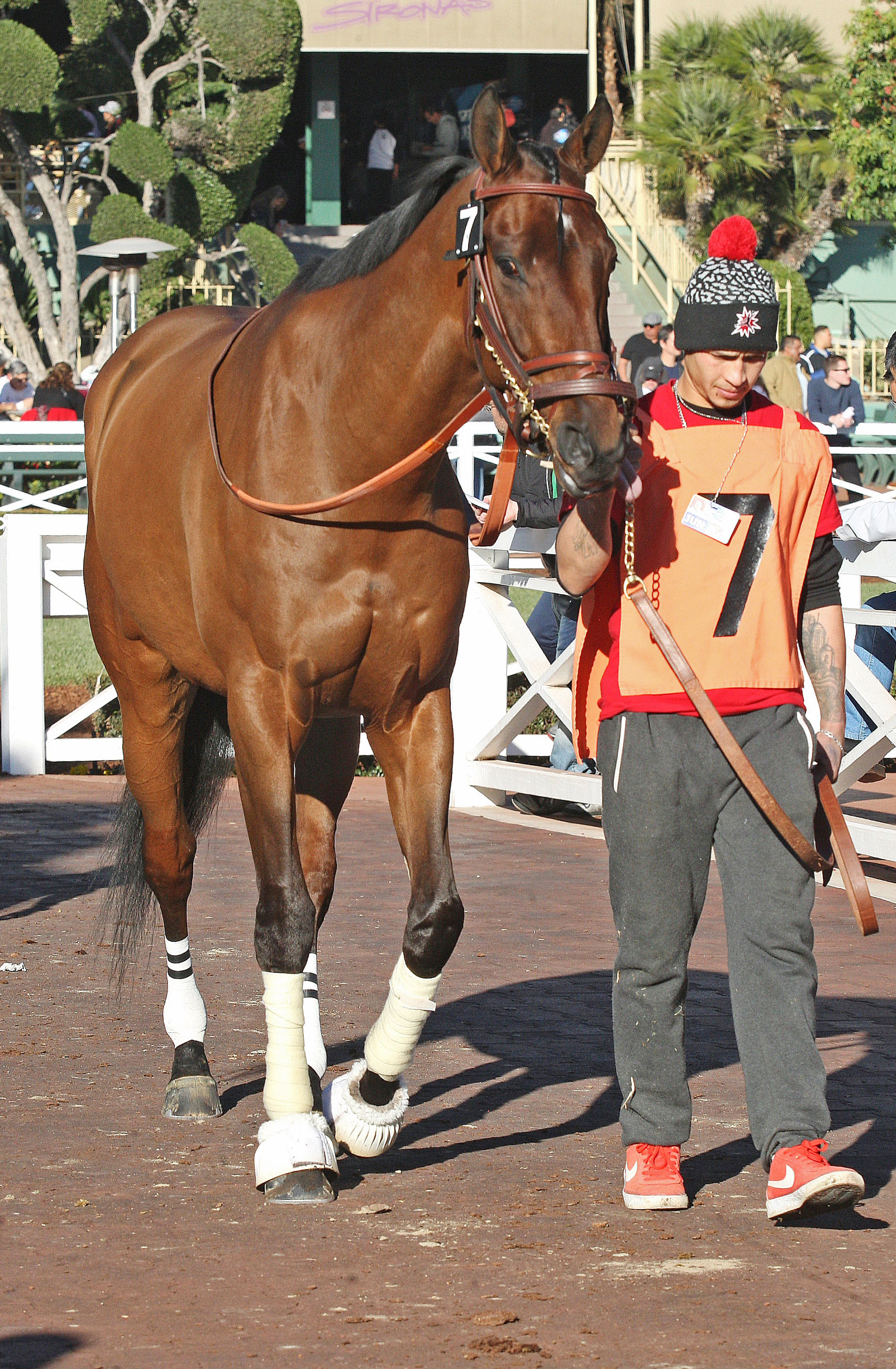 Salutos Amigos at Santa Anita Park