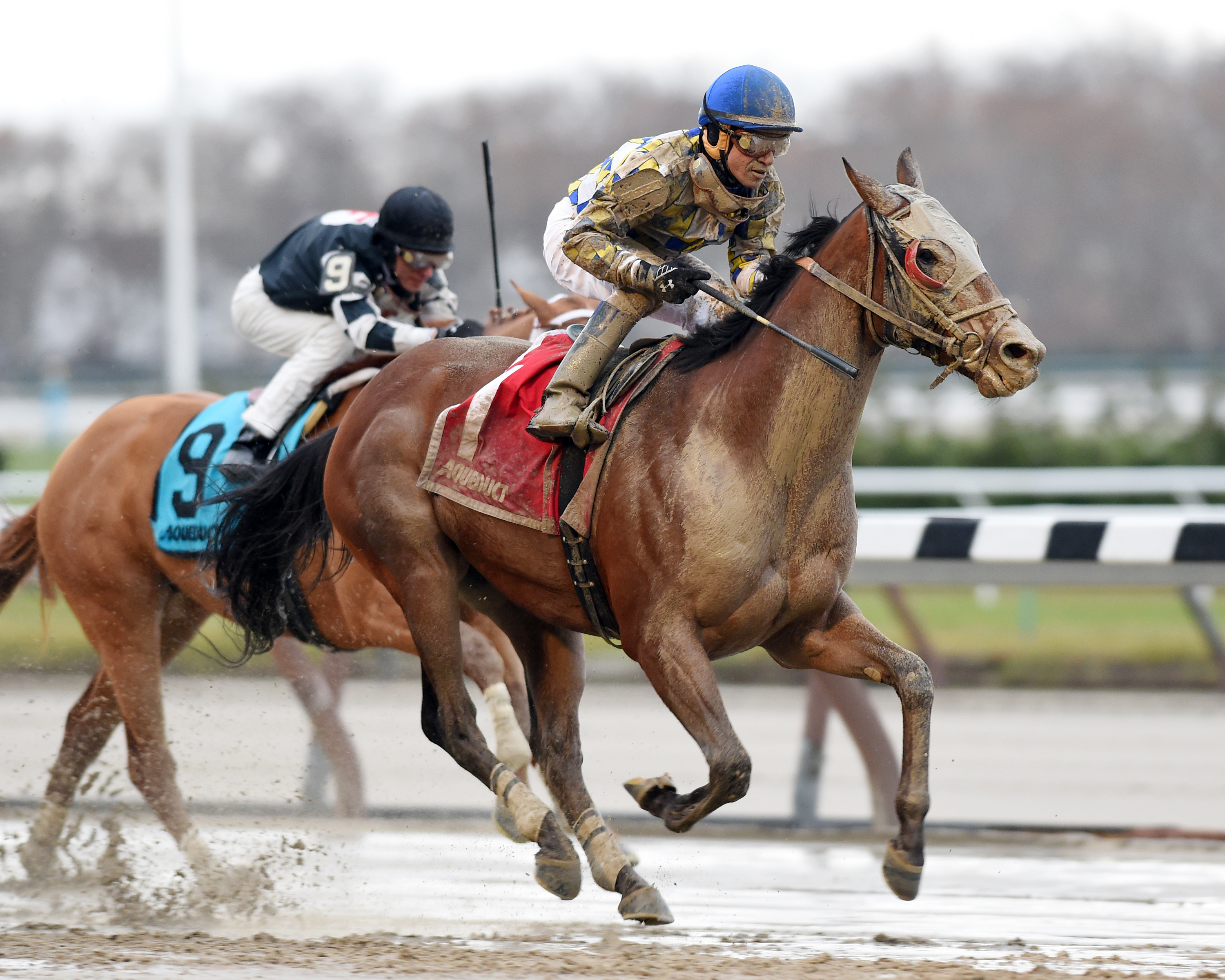Salutos Amigos wins the Fall Highweight