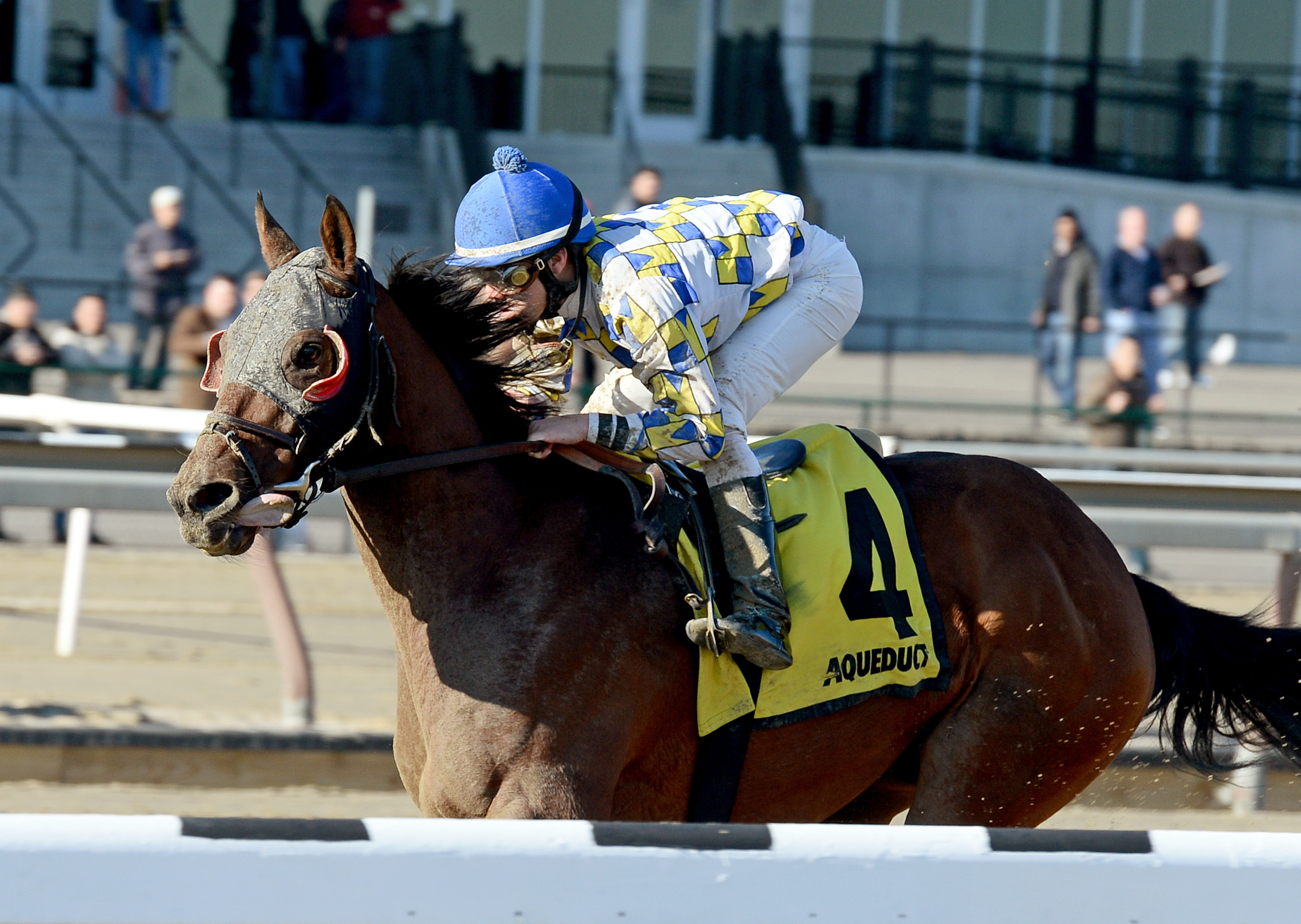 Salutos Amigos wins the Gravesend
