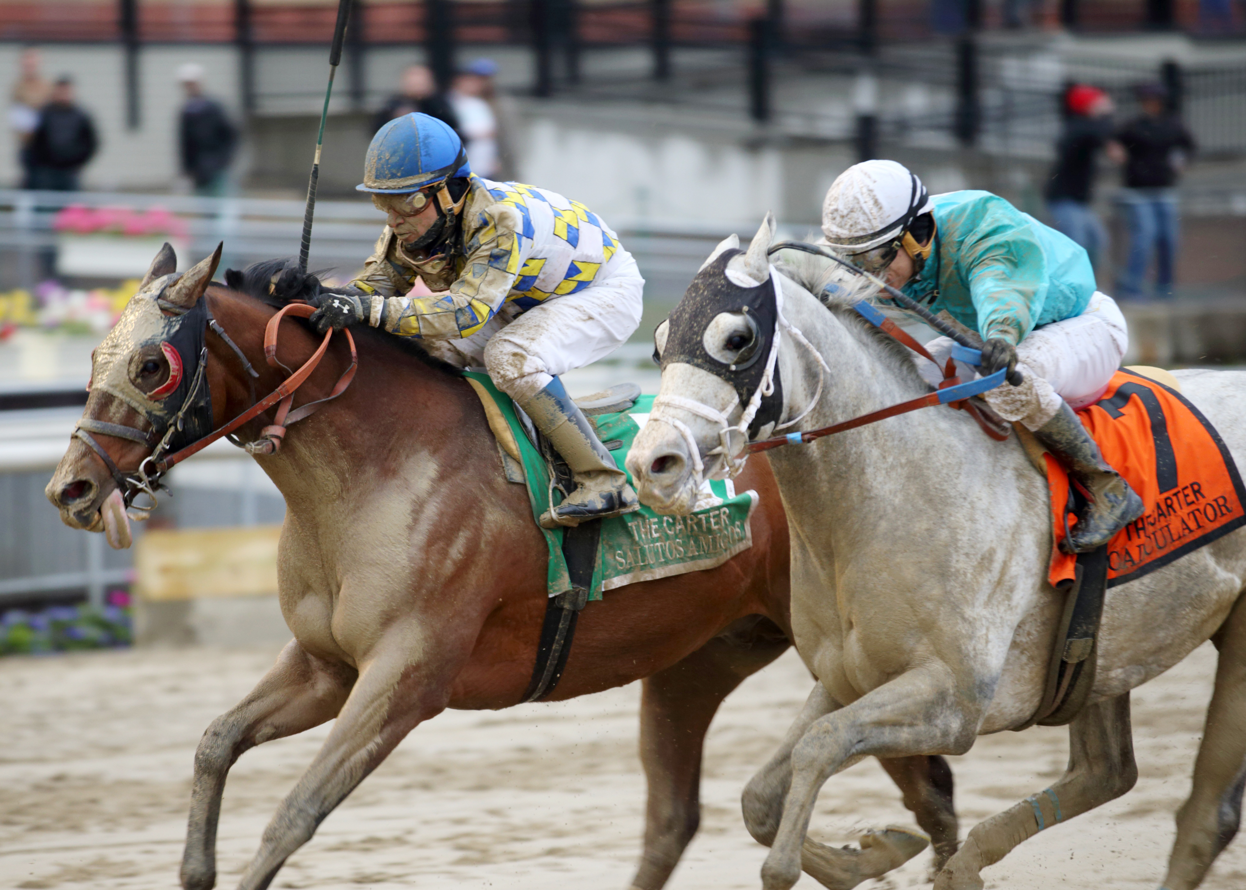 Salutos Amigos wins the Carter Handicap