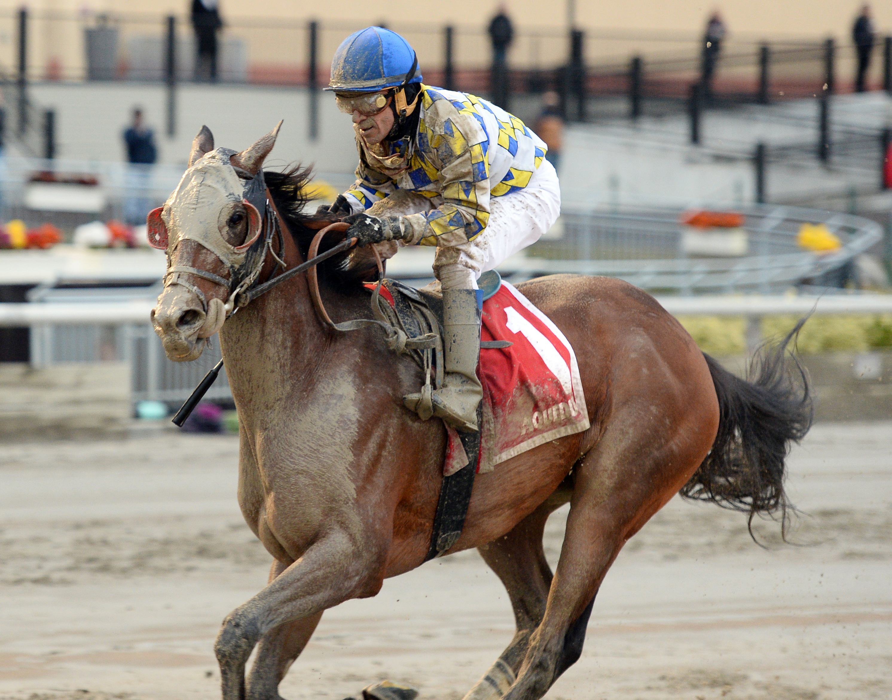 Salutos Amigos wins the Fall Highweight