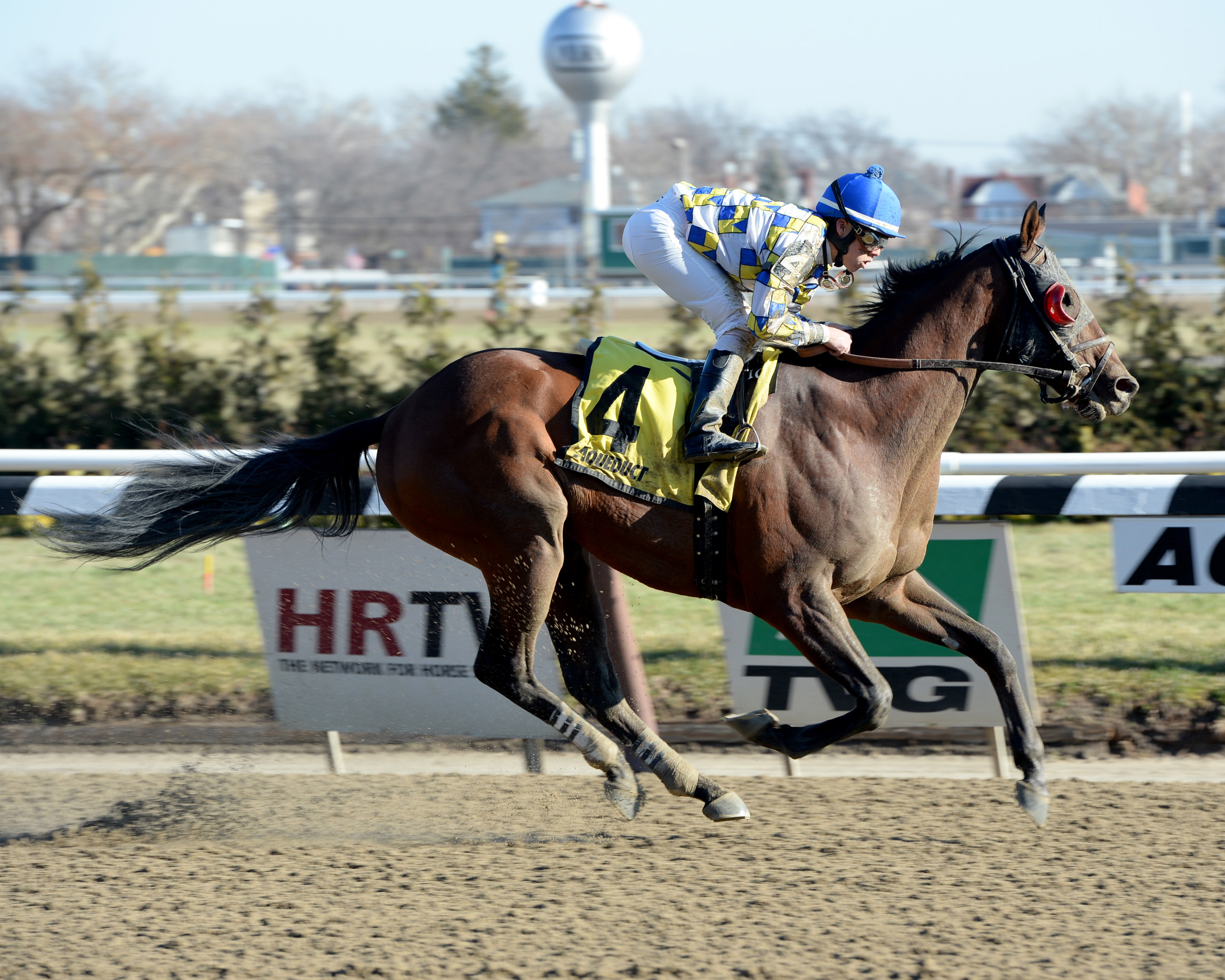 Salutos Amigos wins the Gravesend