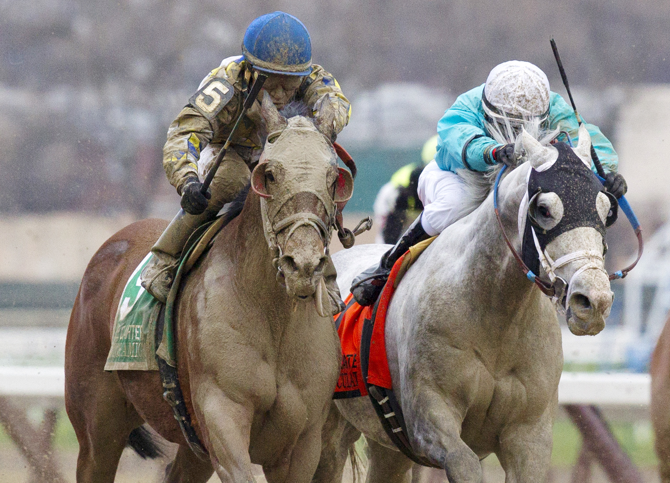 Salutos Amigo wins the Carter Handicap