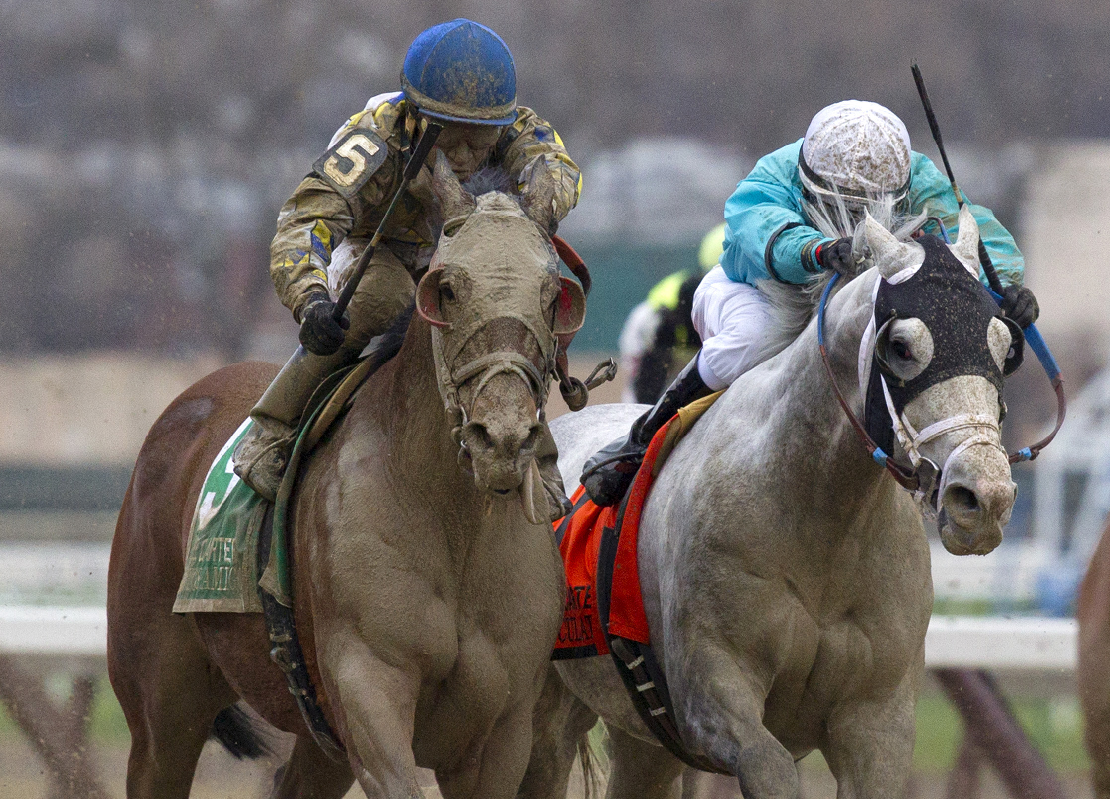 Calculator finishes second in the Carter Handicap