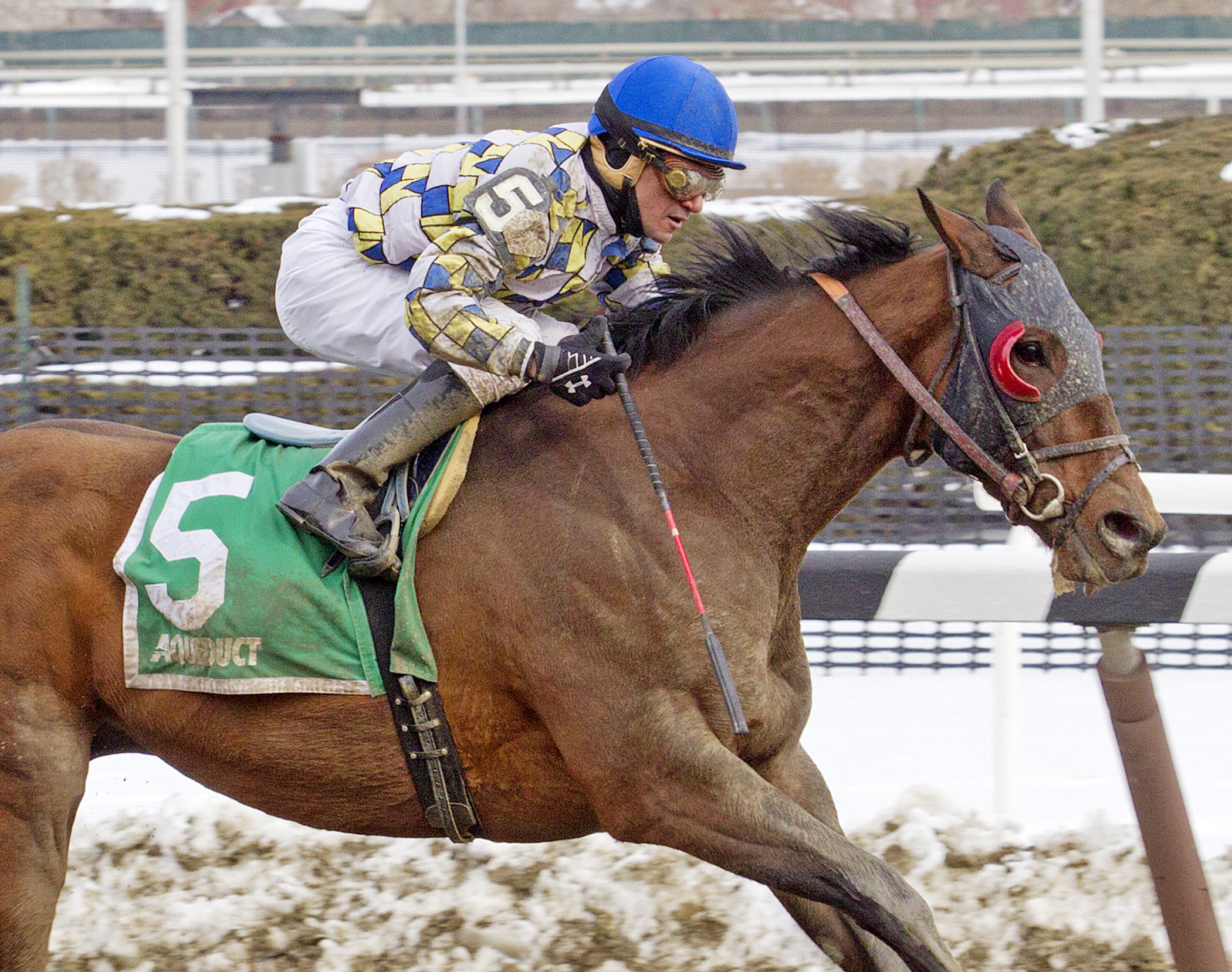 Salutos Amigos wins the Tom Fool