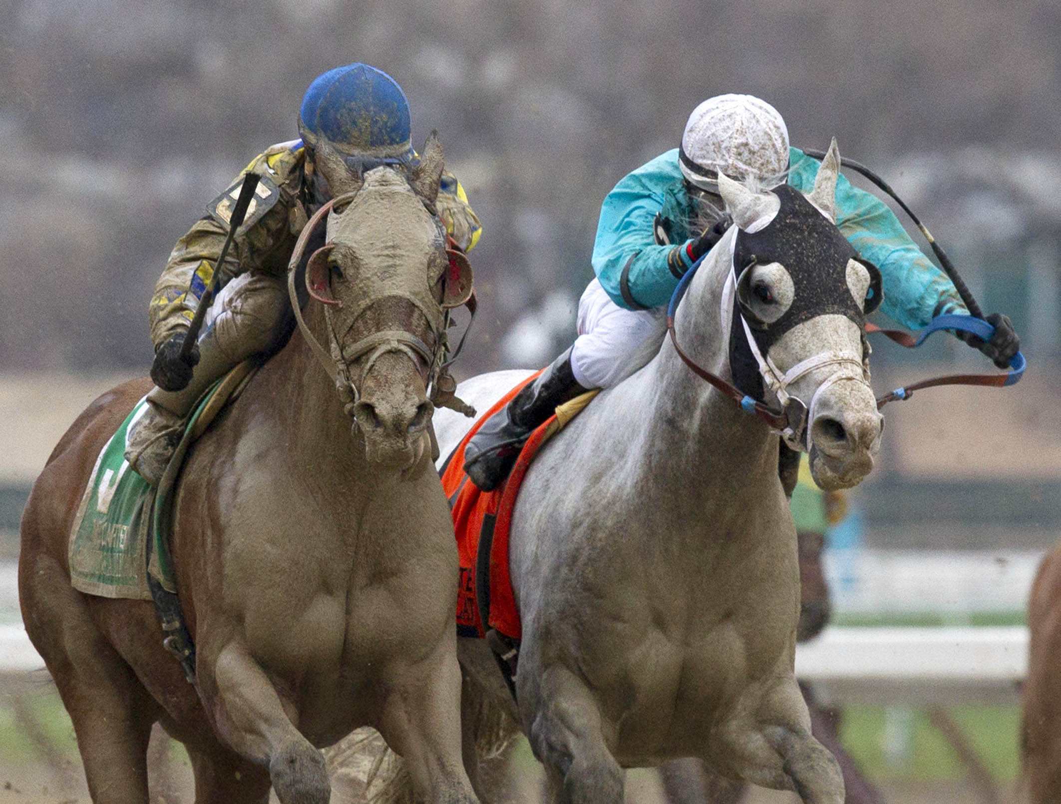 Salutos Amigos wins the Carter Handicap