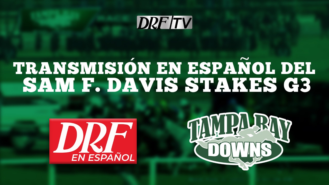 Sam F Davis - DRF en Espanol