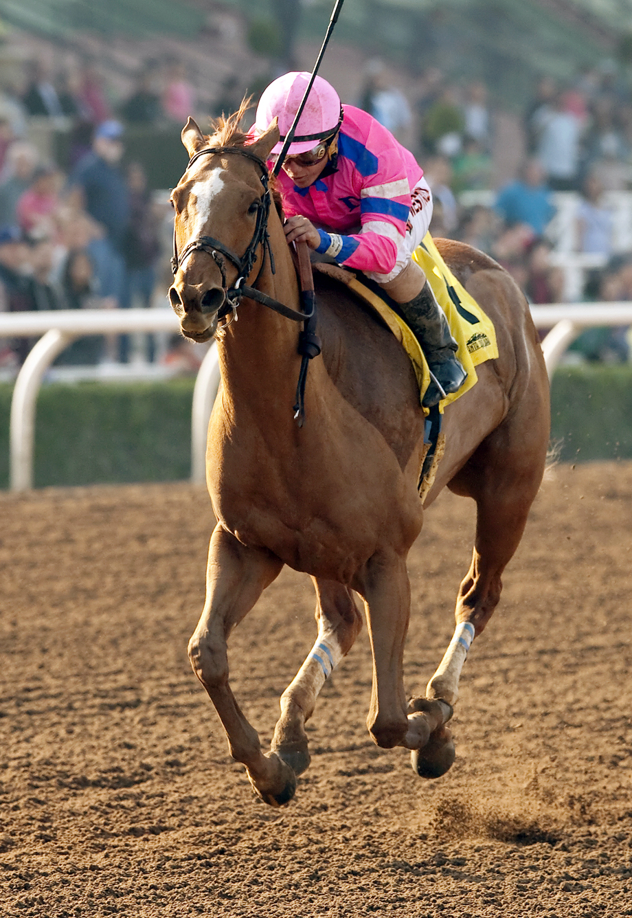 Sam's Sister wins the Santa Monica