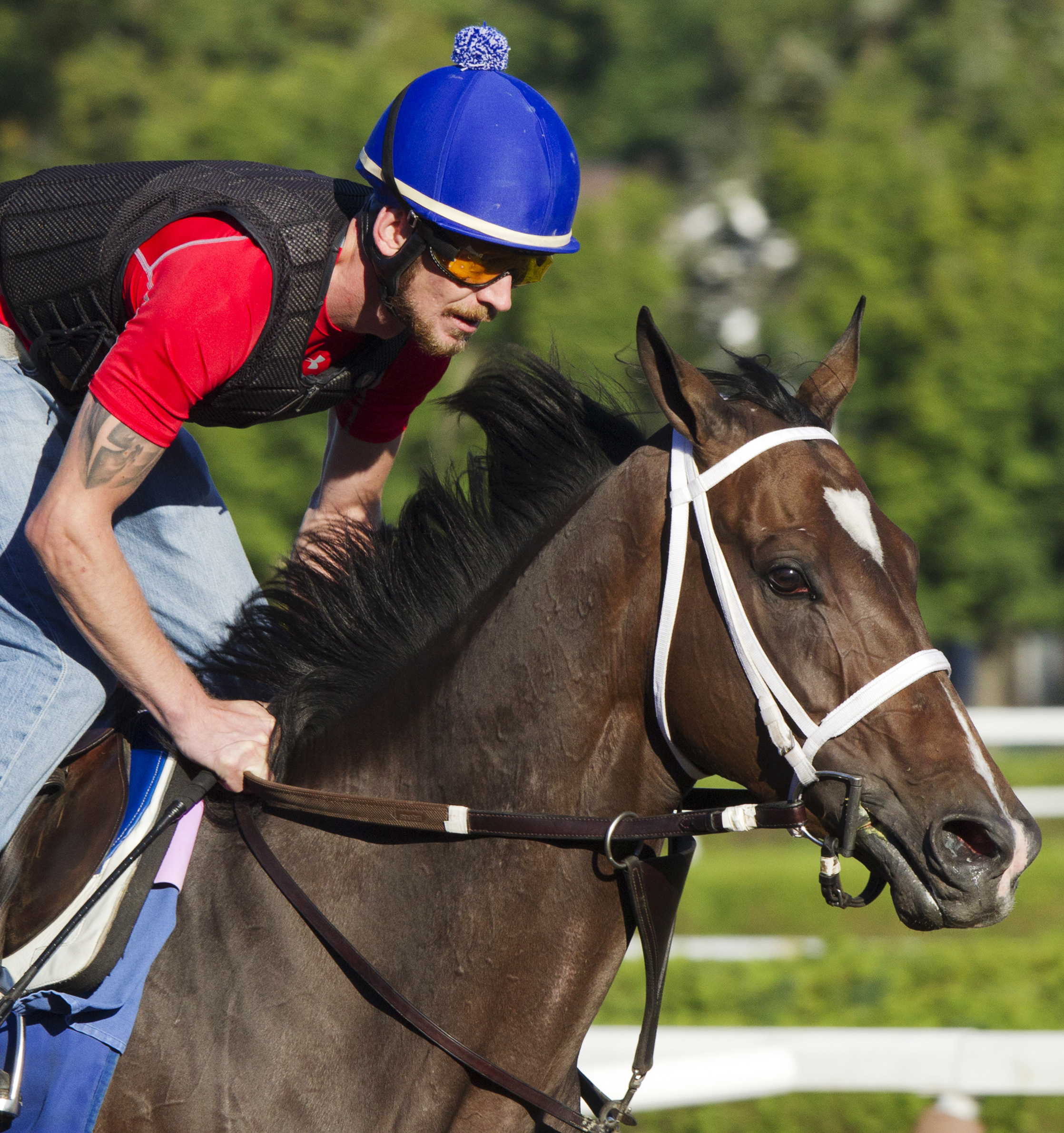 Samantha Nicole trains at Saratoga in August