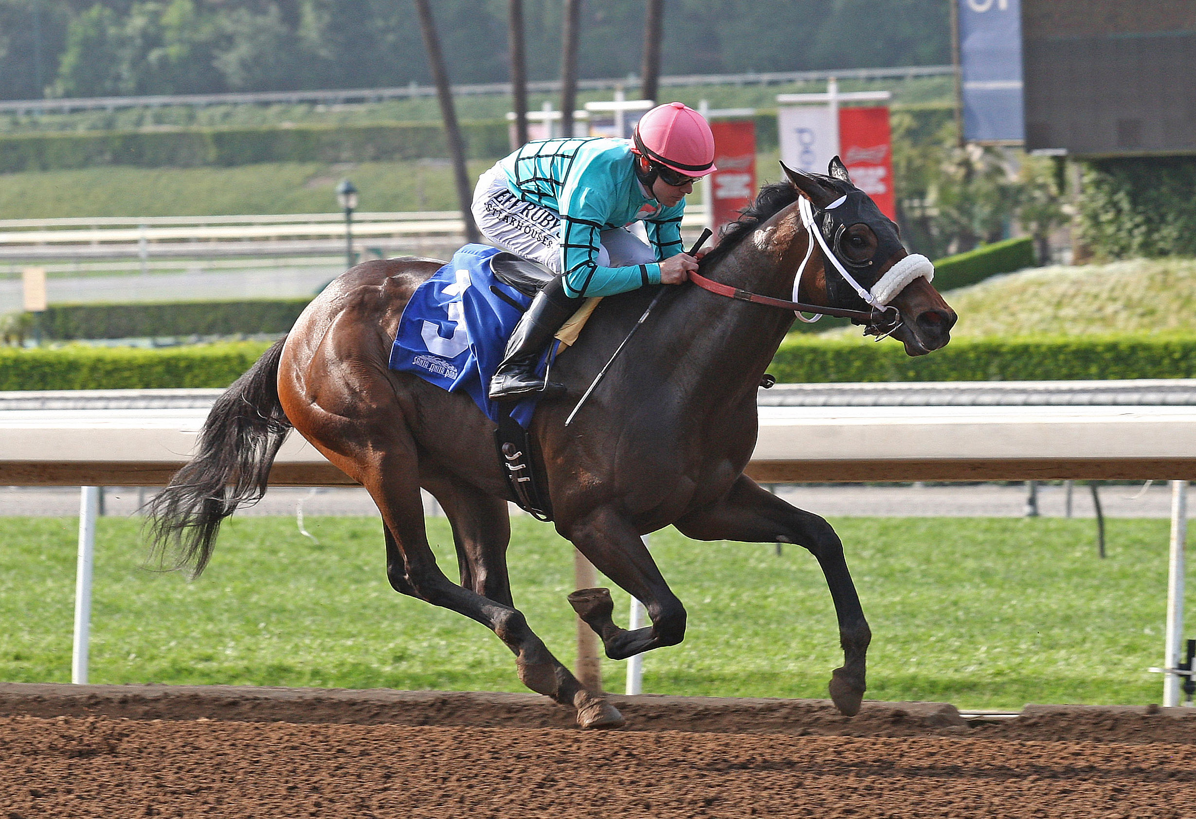 Sambamzajammin wins a maiden race