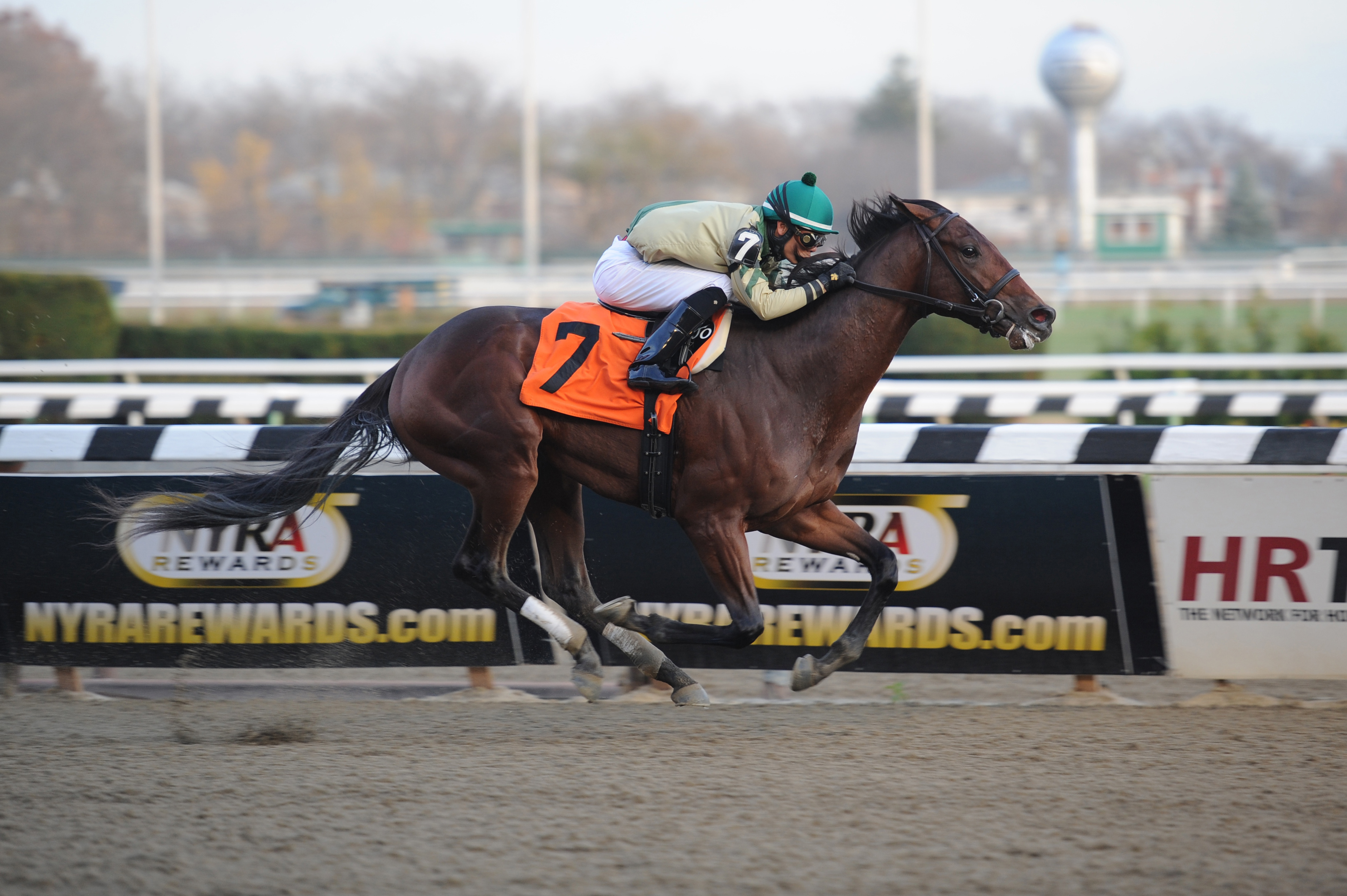 Samraat wins an allowance race
