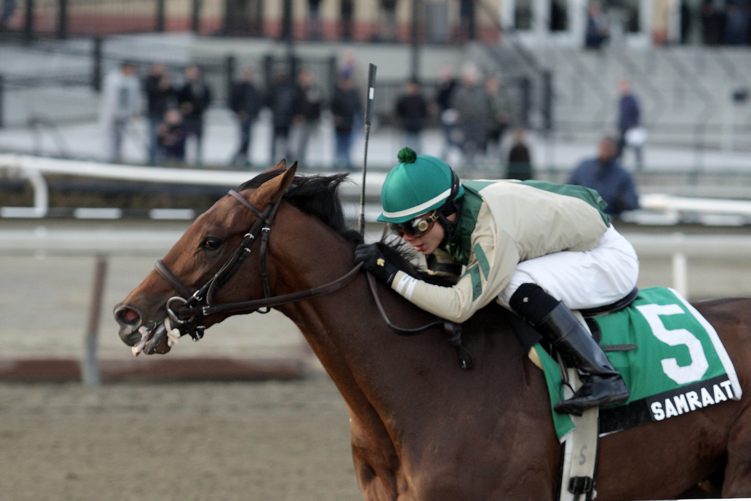 Samraat wins the Withers