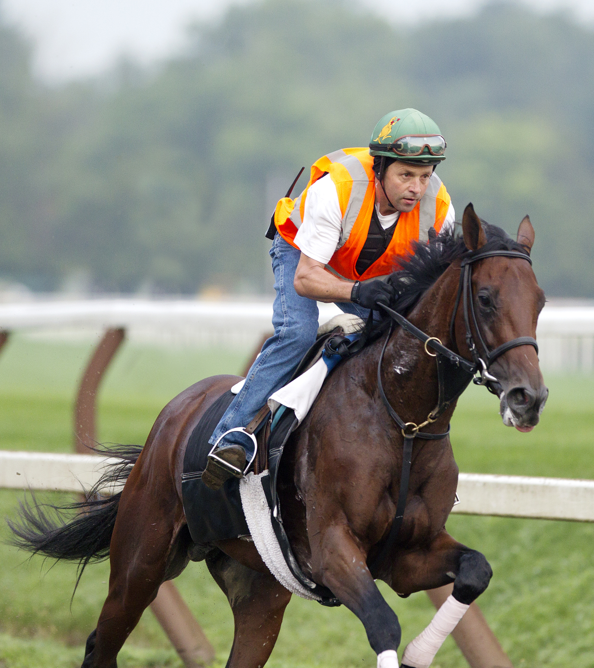 Samraar works July 19 2014 Saratoga