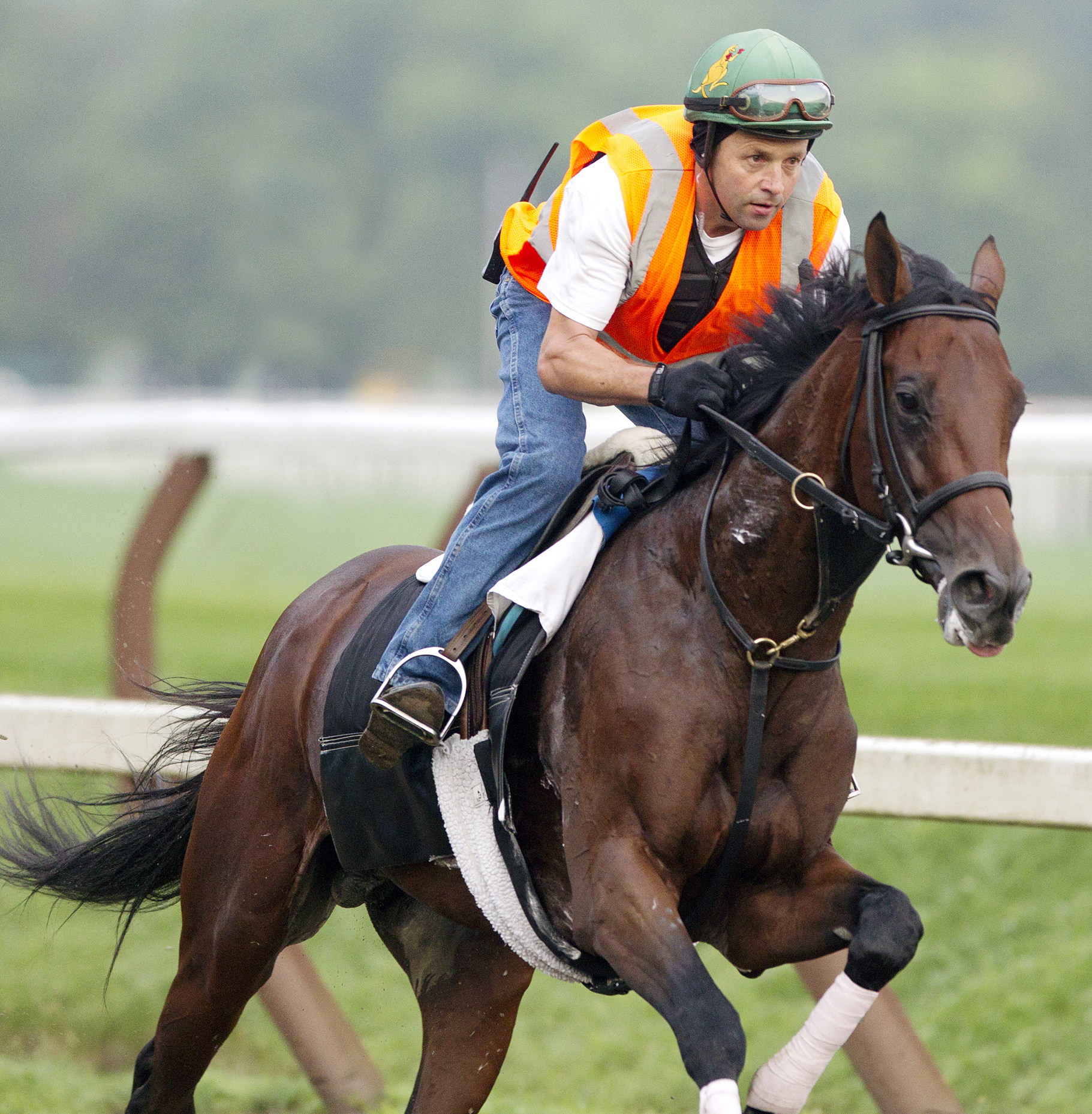 Samraat trains at Saratoga on July 19