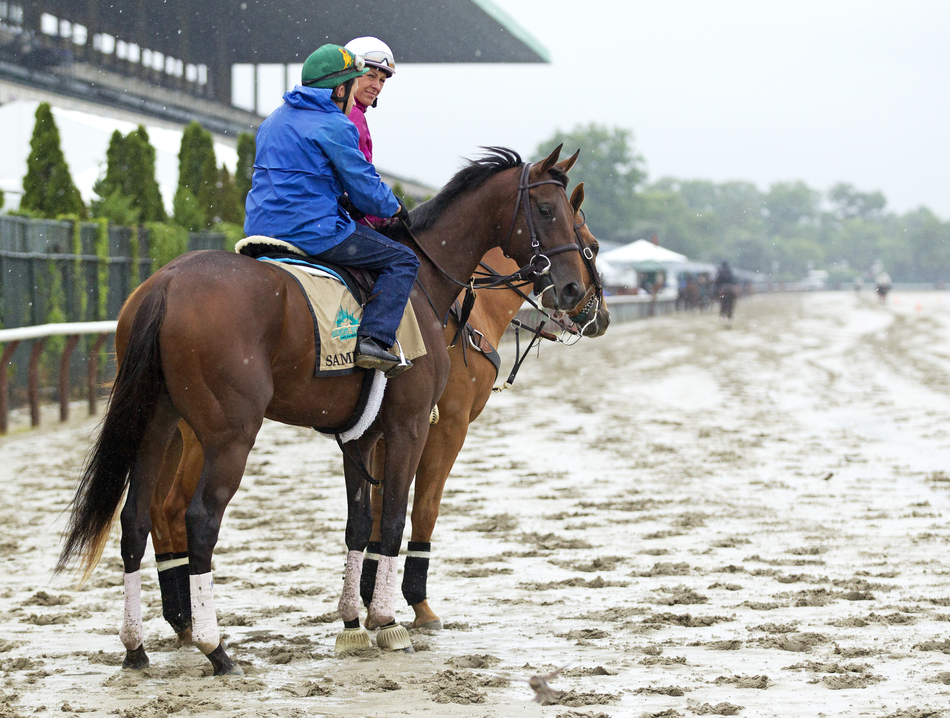 Samraat at Belmont on June 5