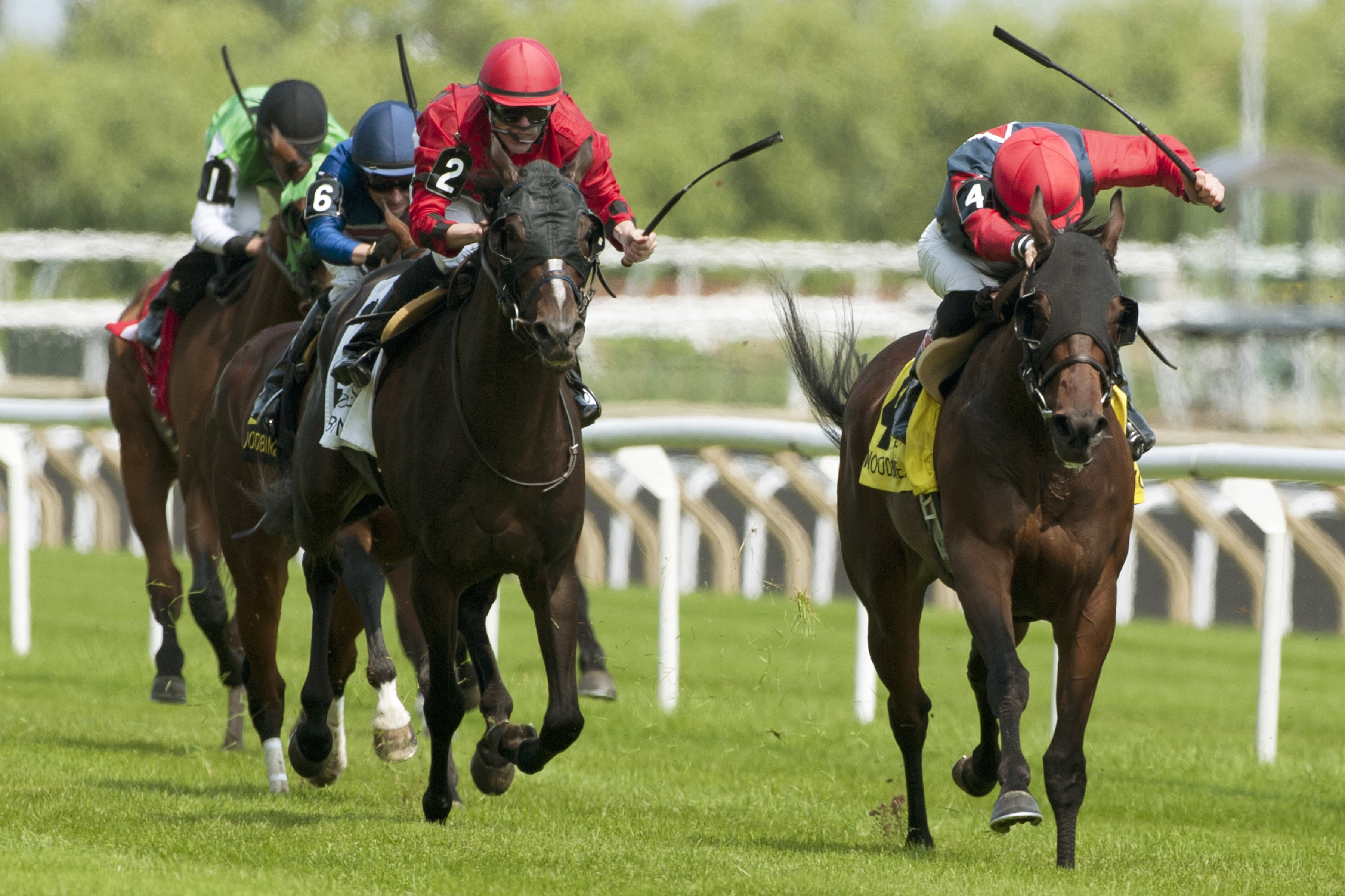 Samuel Dechamplain wins the Charlie Barley Stakes