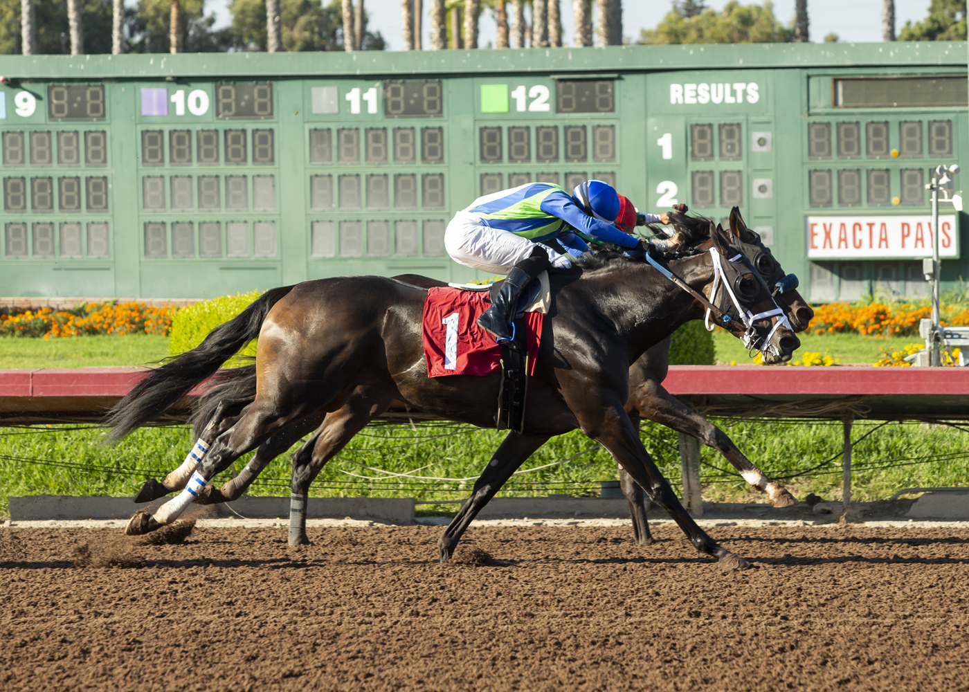Samurai Charm wins Dark Mirage 9-19-2021