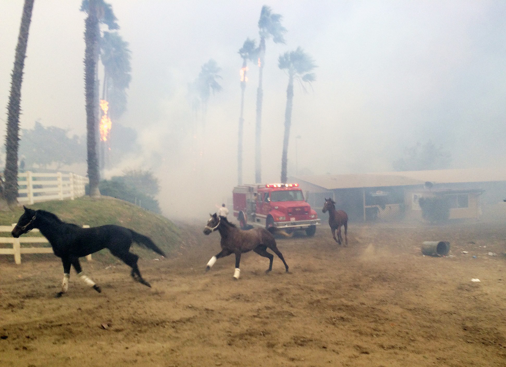 San Luis Rey fire