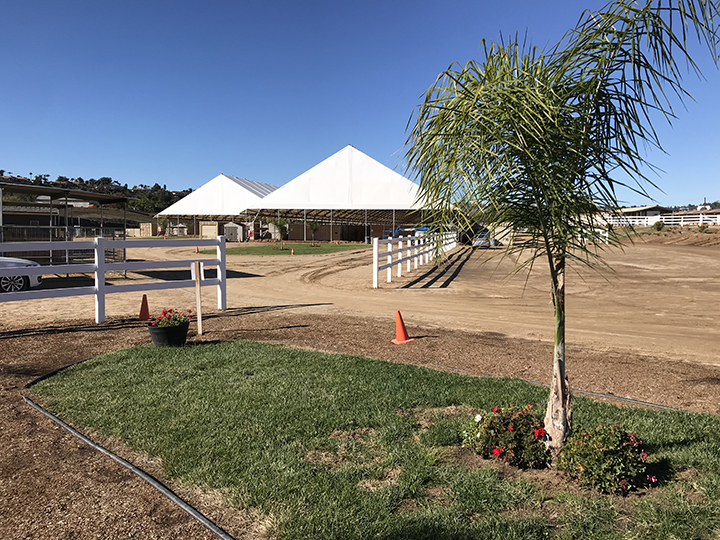 San Luis Rey one year after Lilac Fire