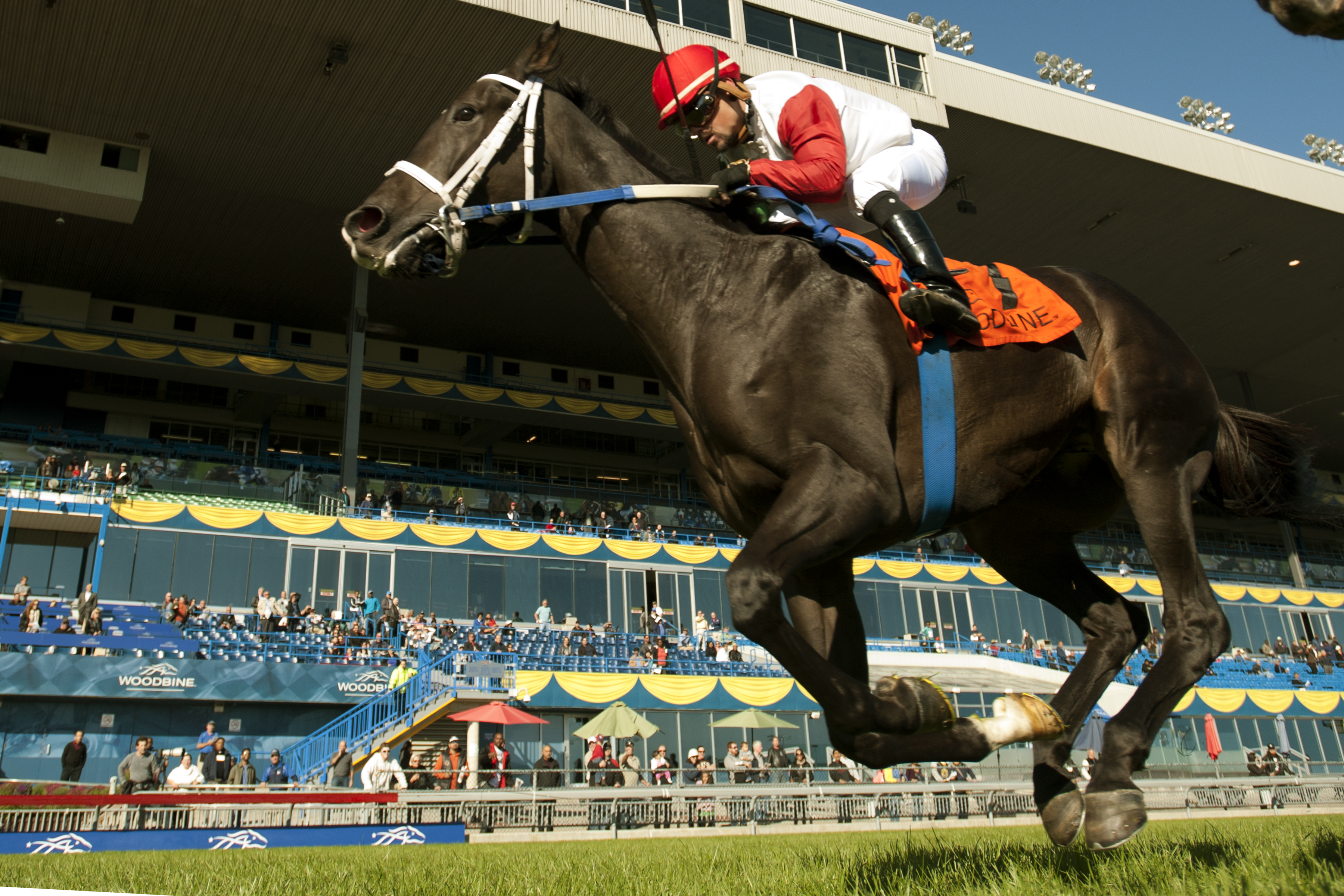 San Nicola Thunder wins 2014 Bunty Lawless