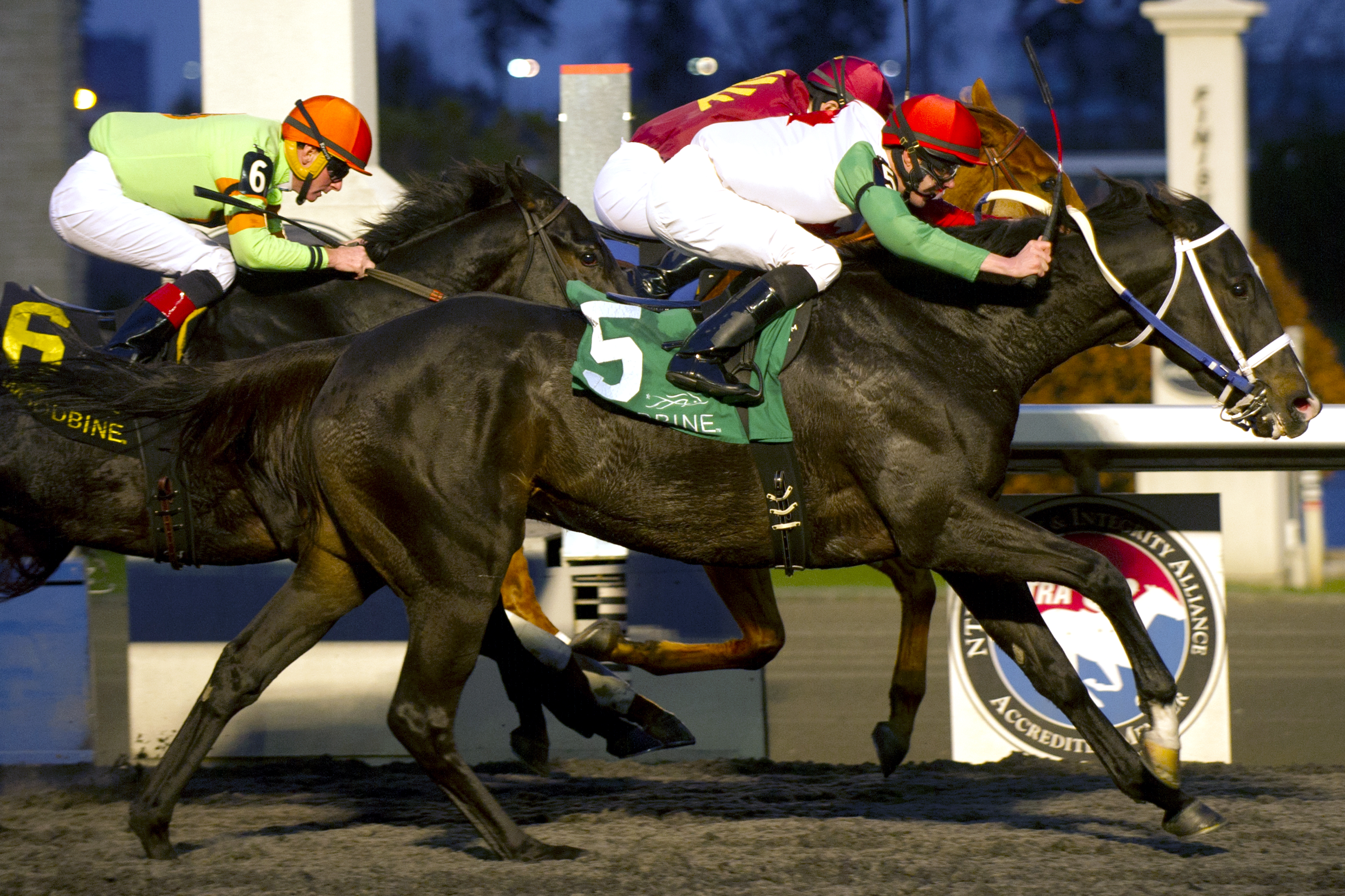 San Nicola Thunder wins the 2014 Sir Barton