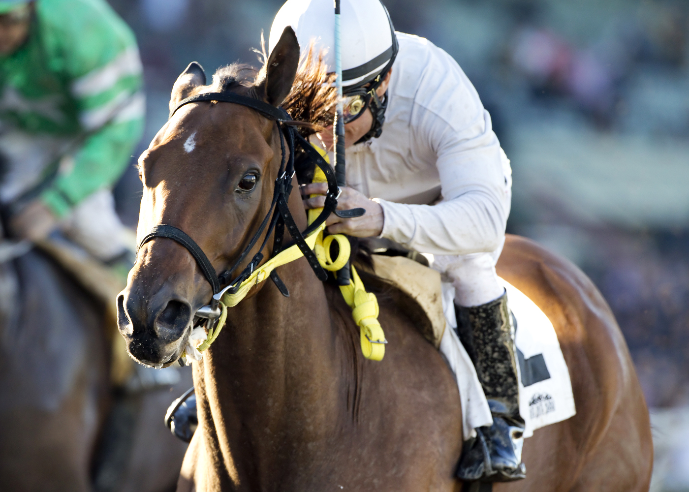 San Onofre wins the Midnight Lute