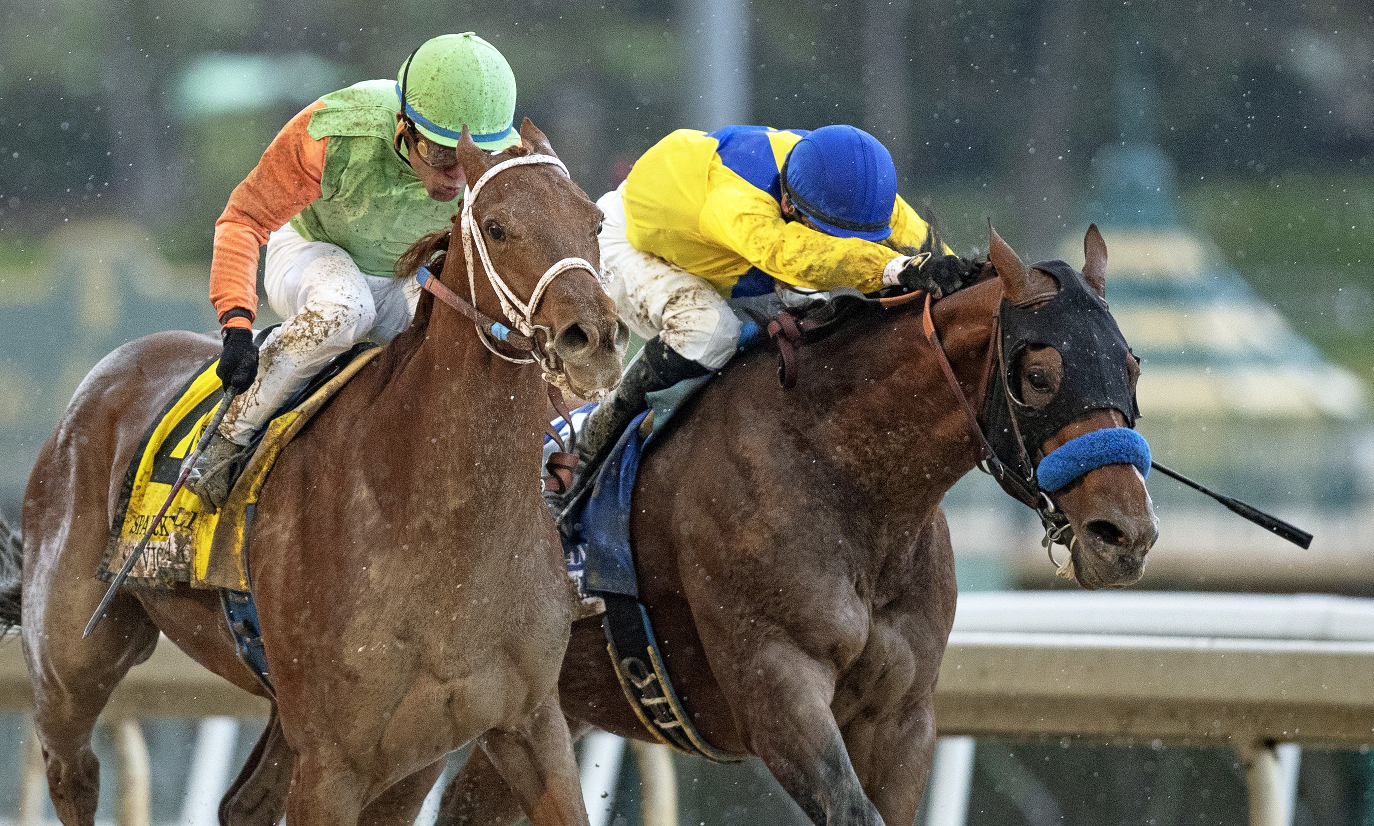 Sparky Ville wins 2019 San Vicente