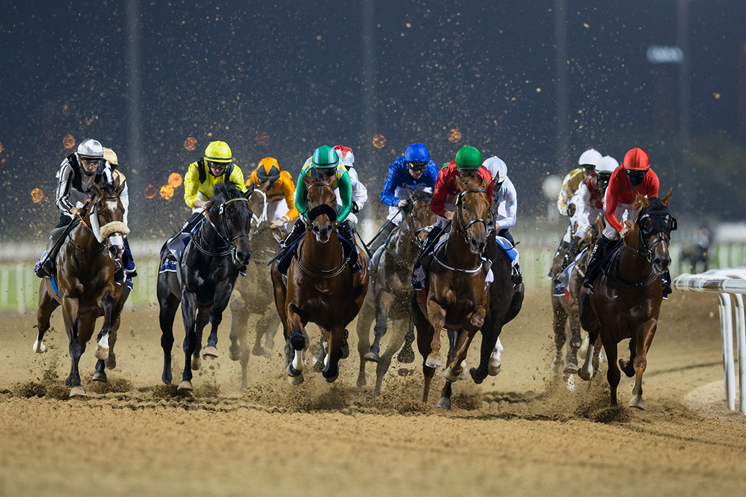 Nighttime racing at Meydan Racecourse in Dubai